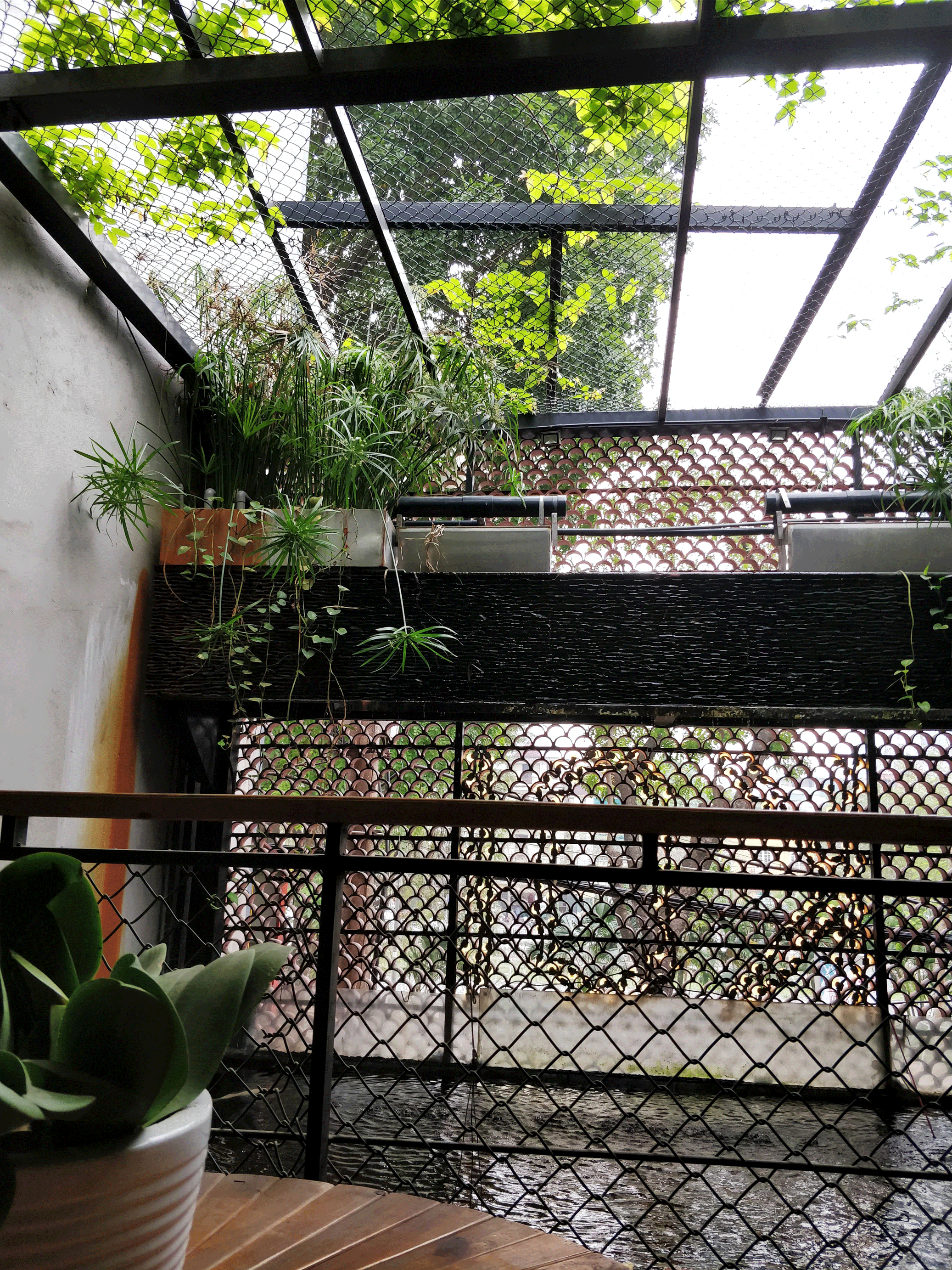 Koi Cafe and Spa - Hanoi