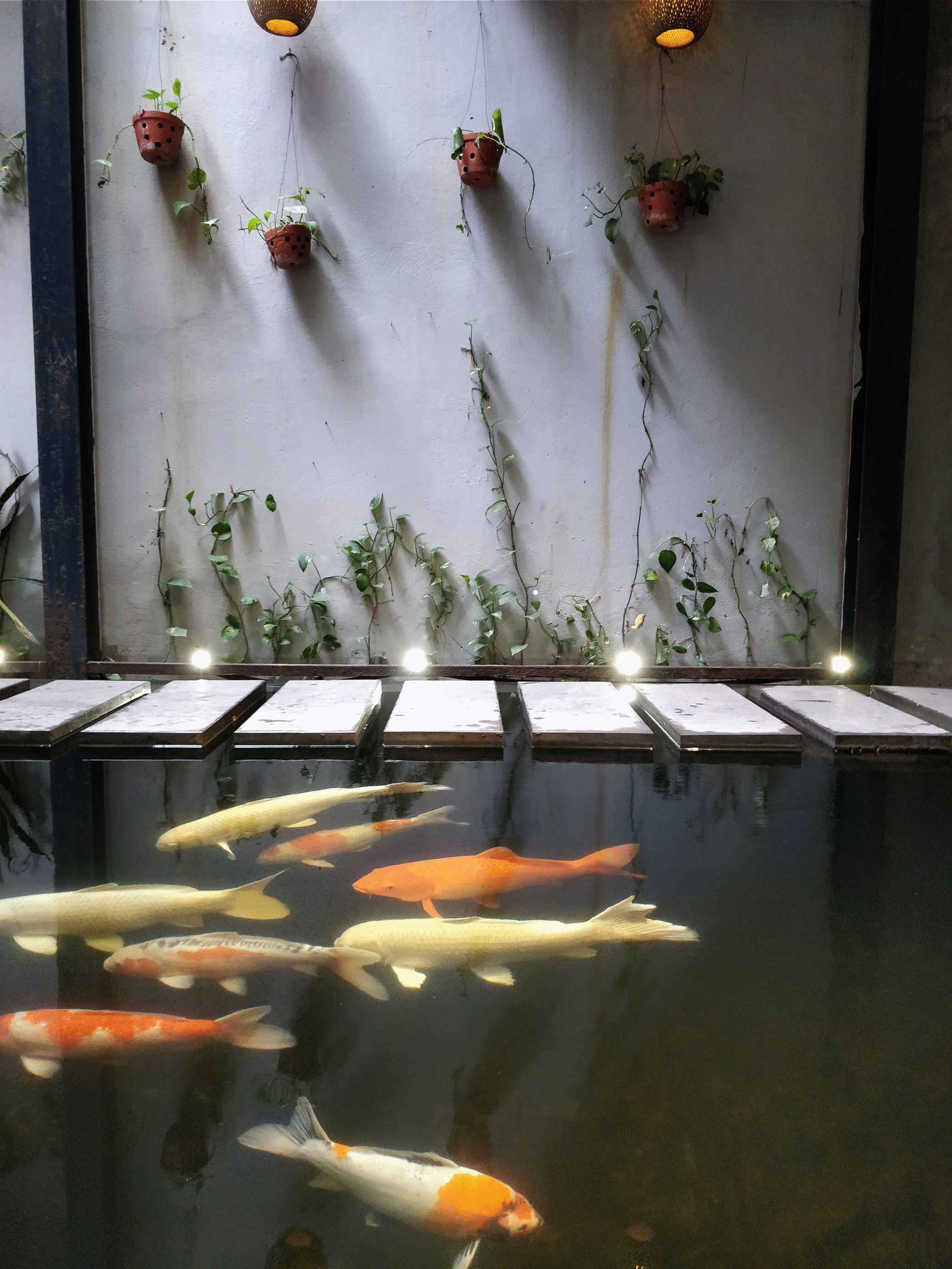 Koi Cafe and Spa - Hanoi