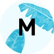 M3.png