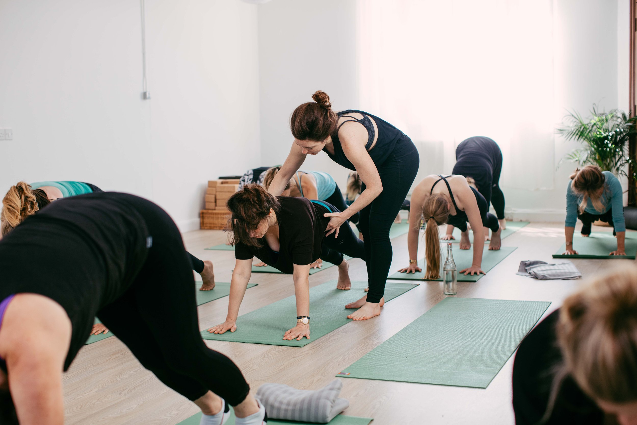 Asana Clinic