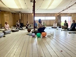 Julie at Hawthbush Amly April 2024 IMG_4328 Small.jpeg