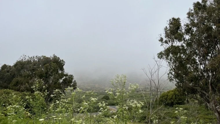 Love Letters // Tohu Magazine