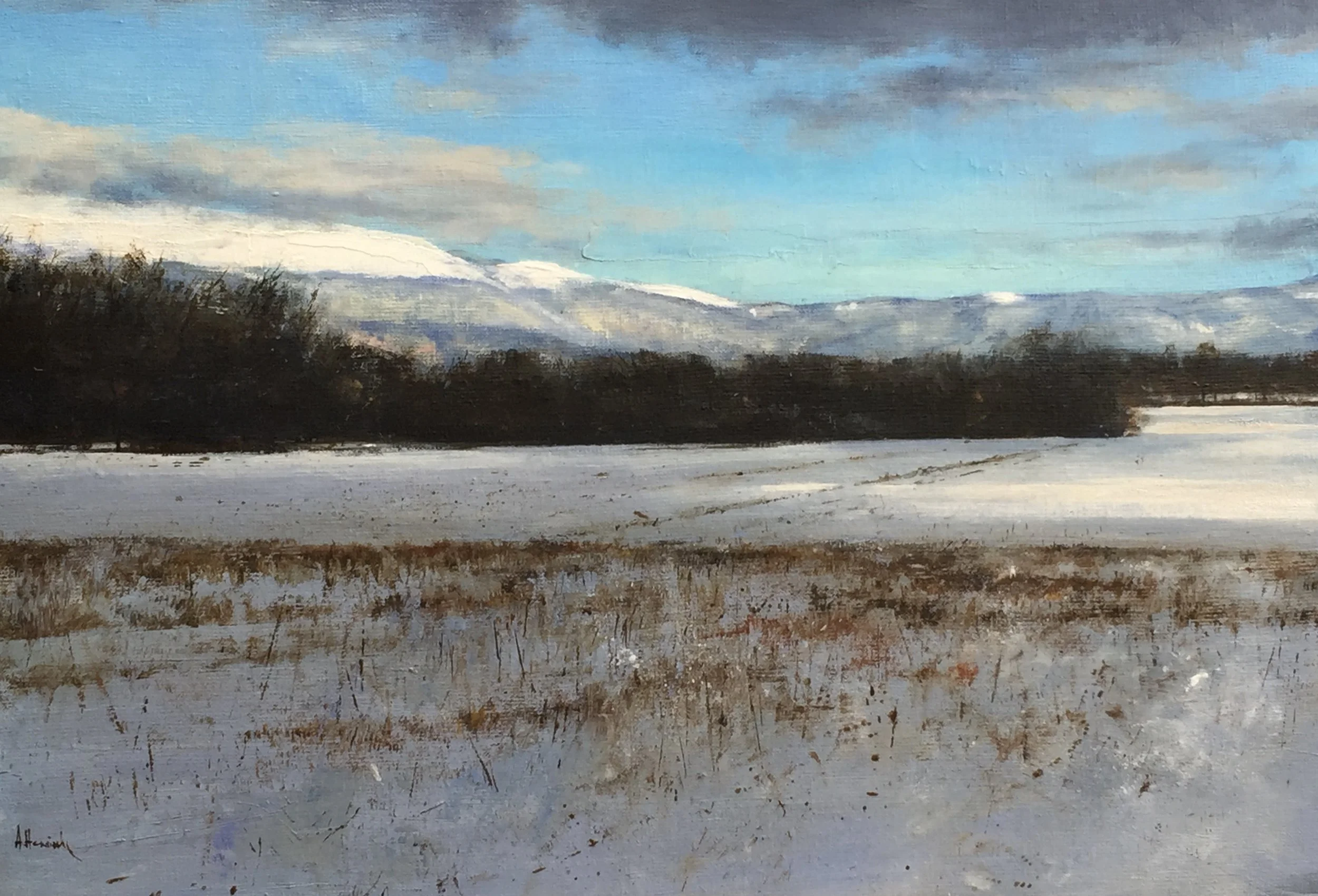 ANDRE HOMINAL – PEINTURE - Novembre 2017