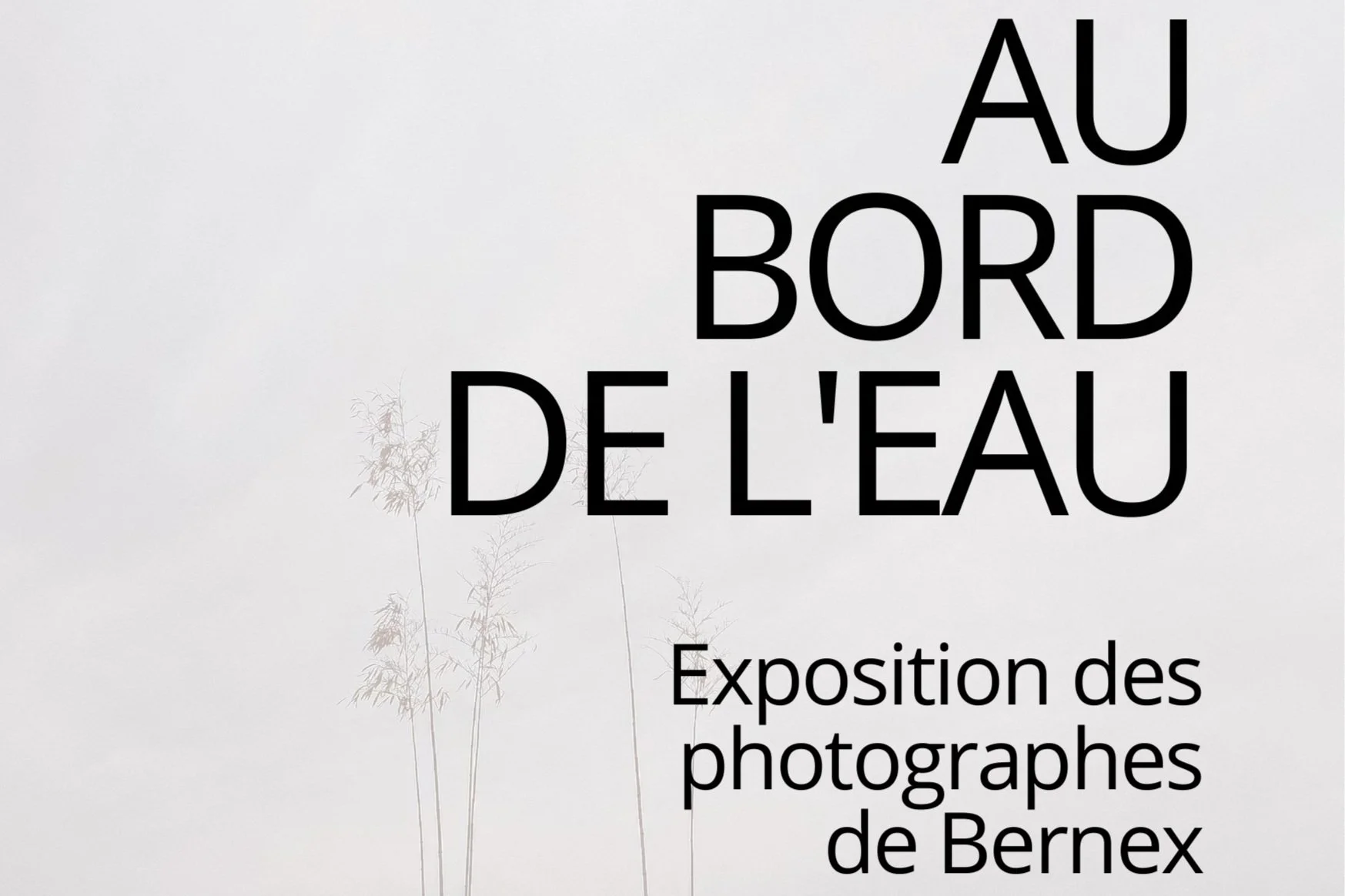 Exposition des photographes de Bernex 