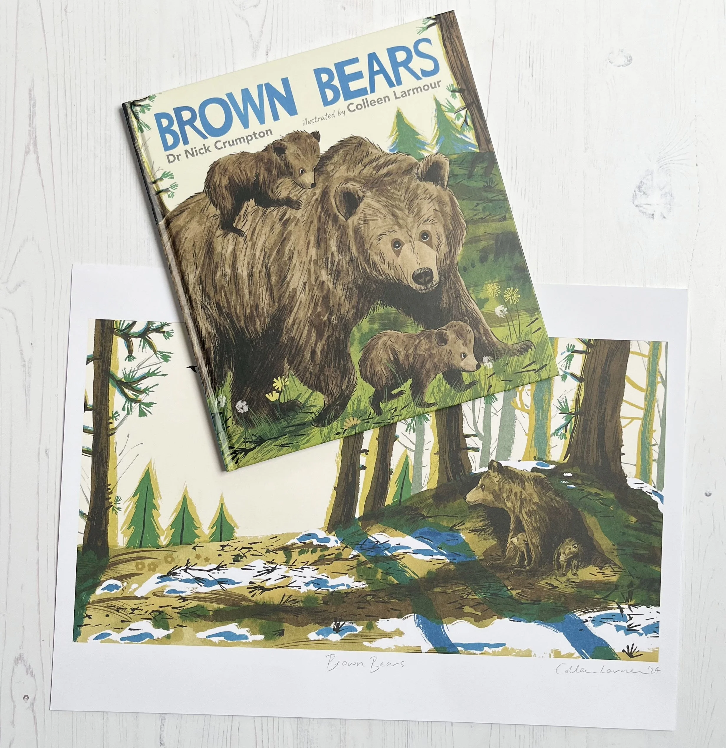 cubs first spring print + book.jpg