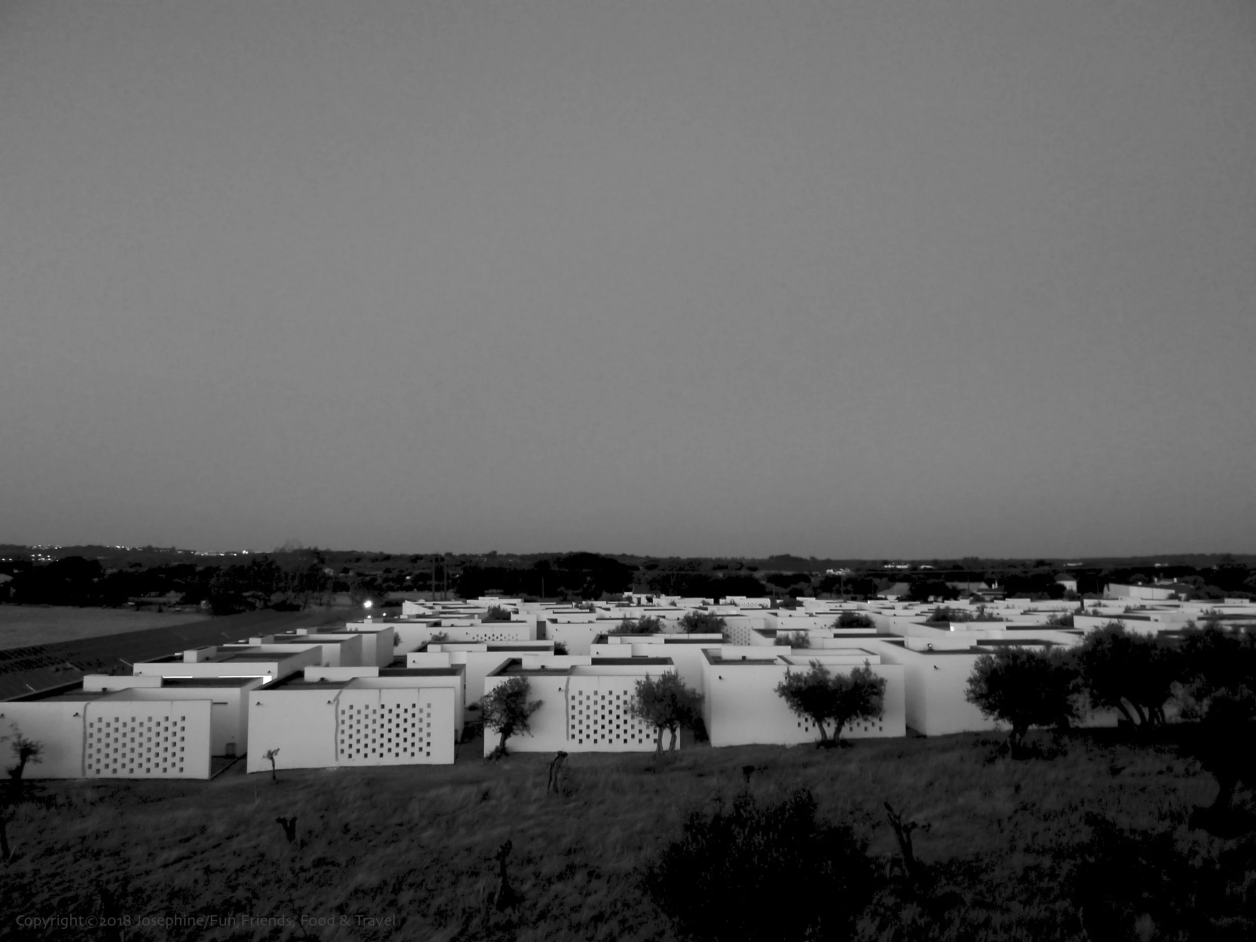 L1040992 copy.jpg