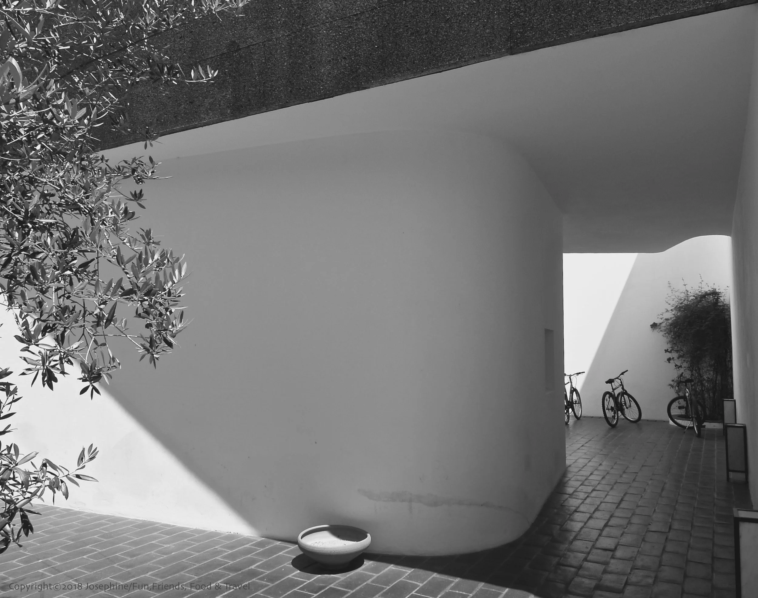 L1040955 copy.jpg