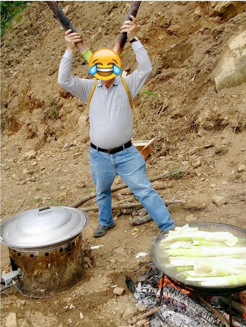 Bamboo Antlers.jpg