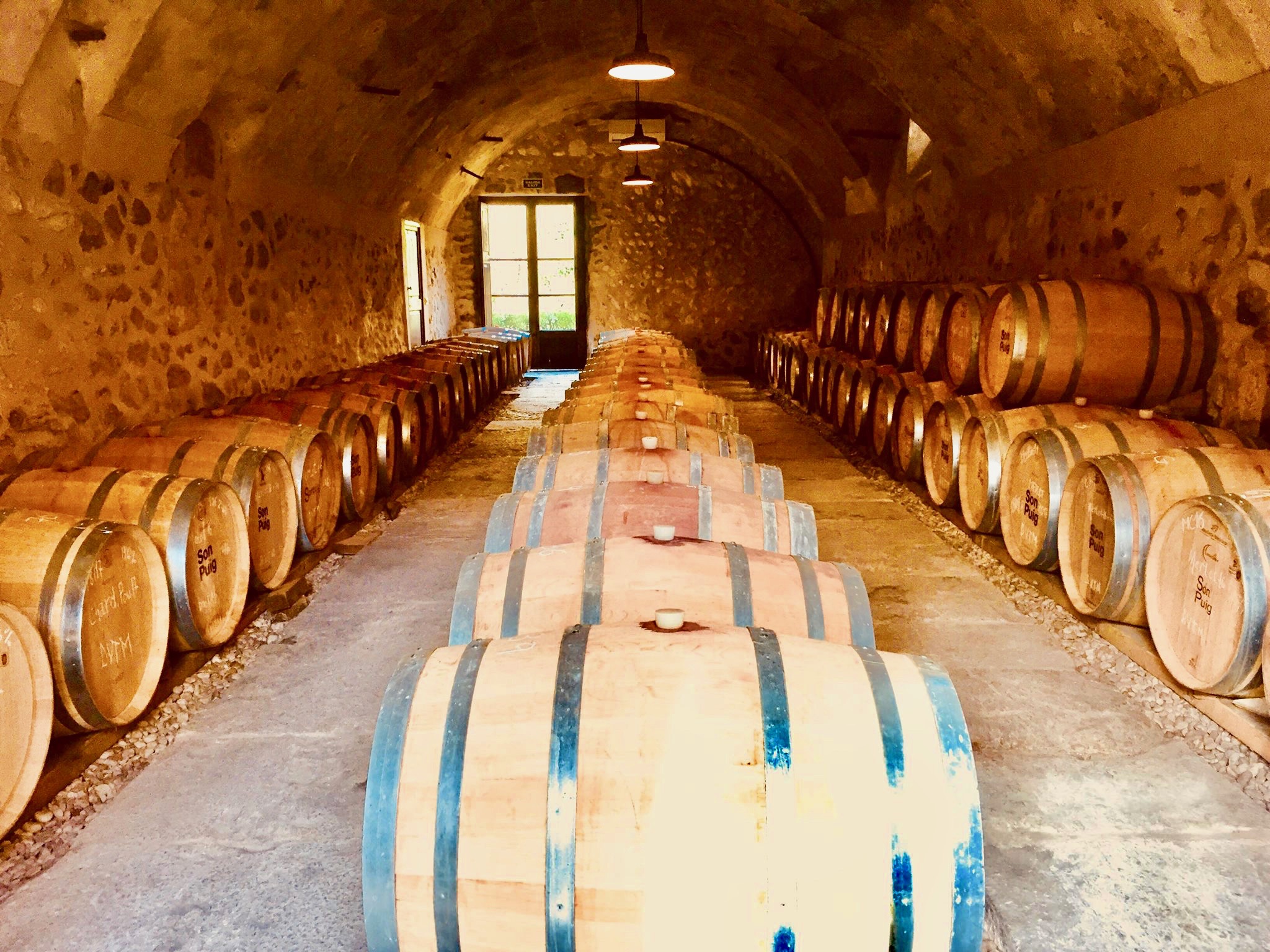 SonPuig Barrel Room.jpg