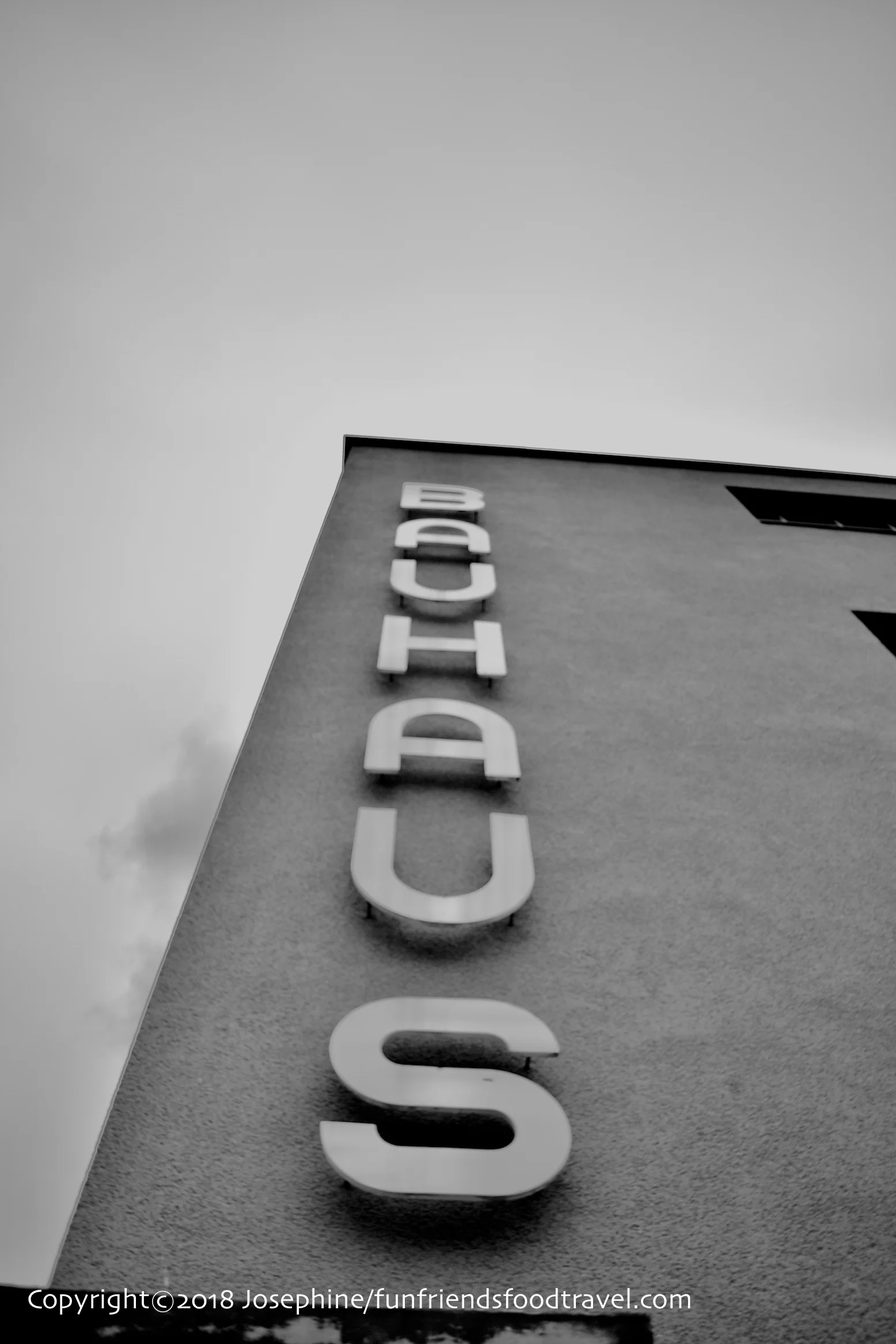 DSC_0382.jpg