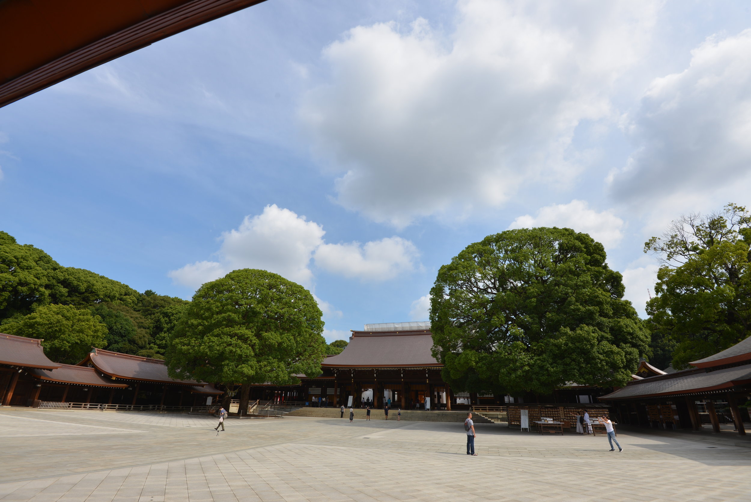 DSC_2402.jpg
