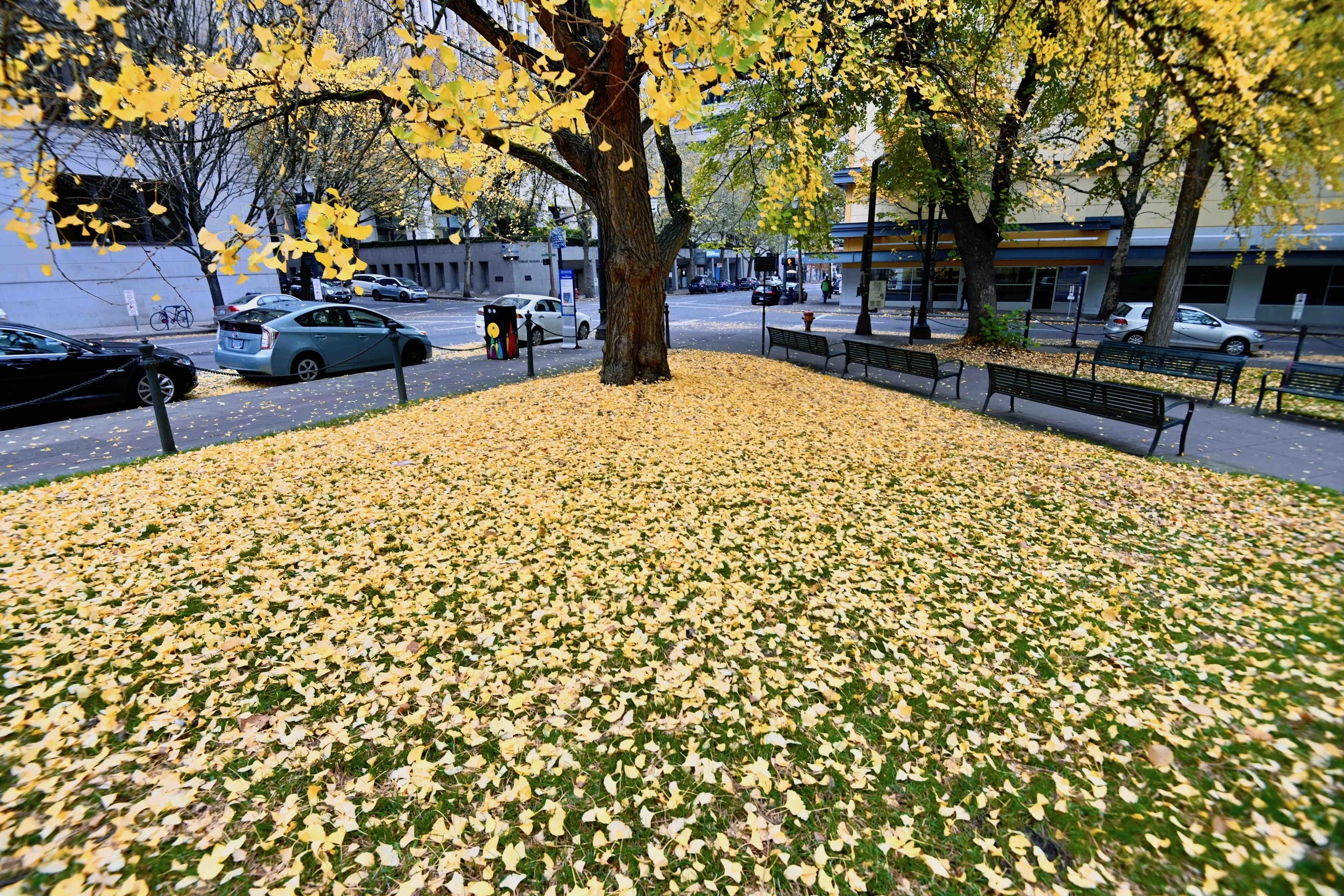 DSC_2861.jpg