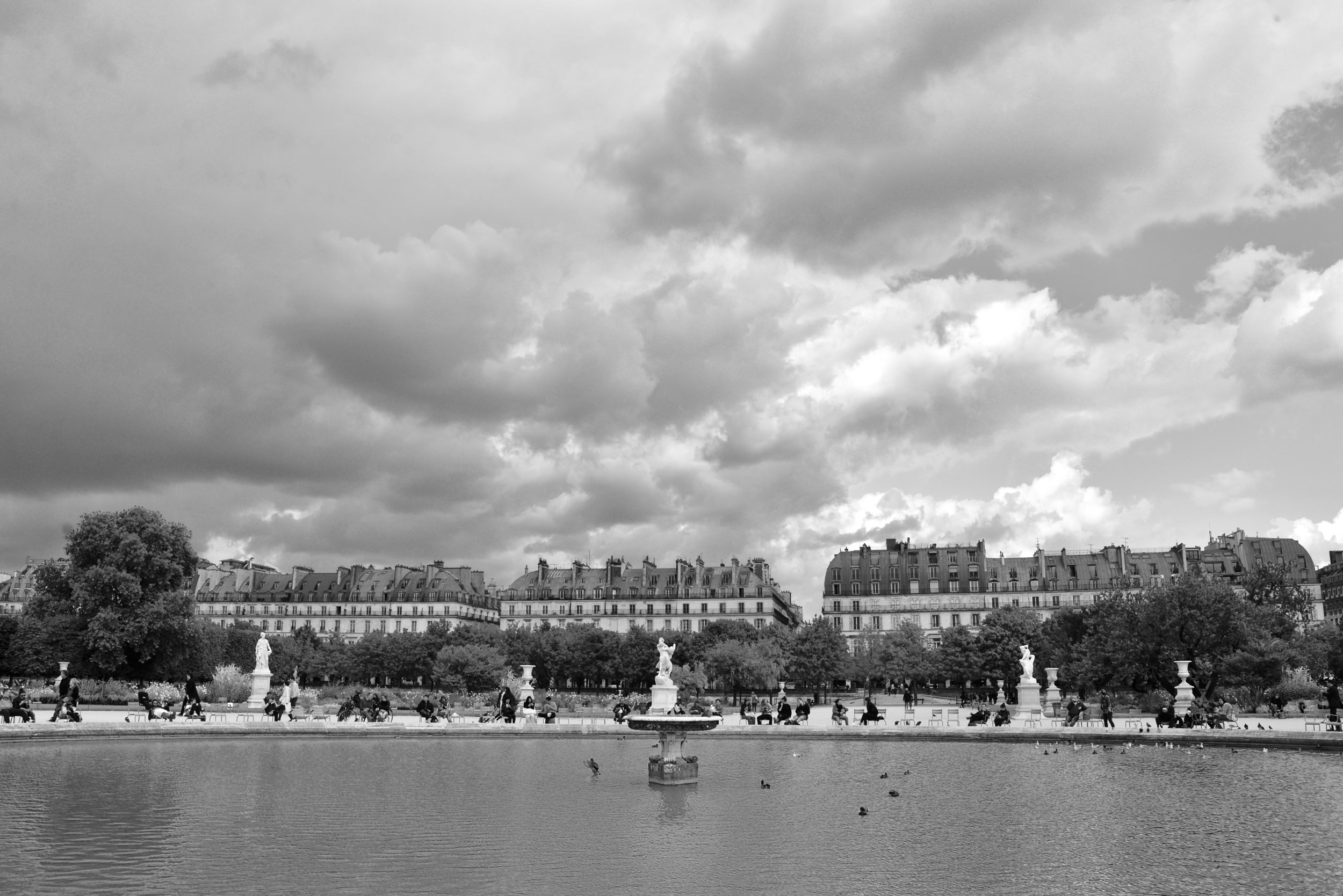 DSC_5951.jpeg