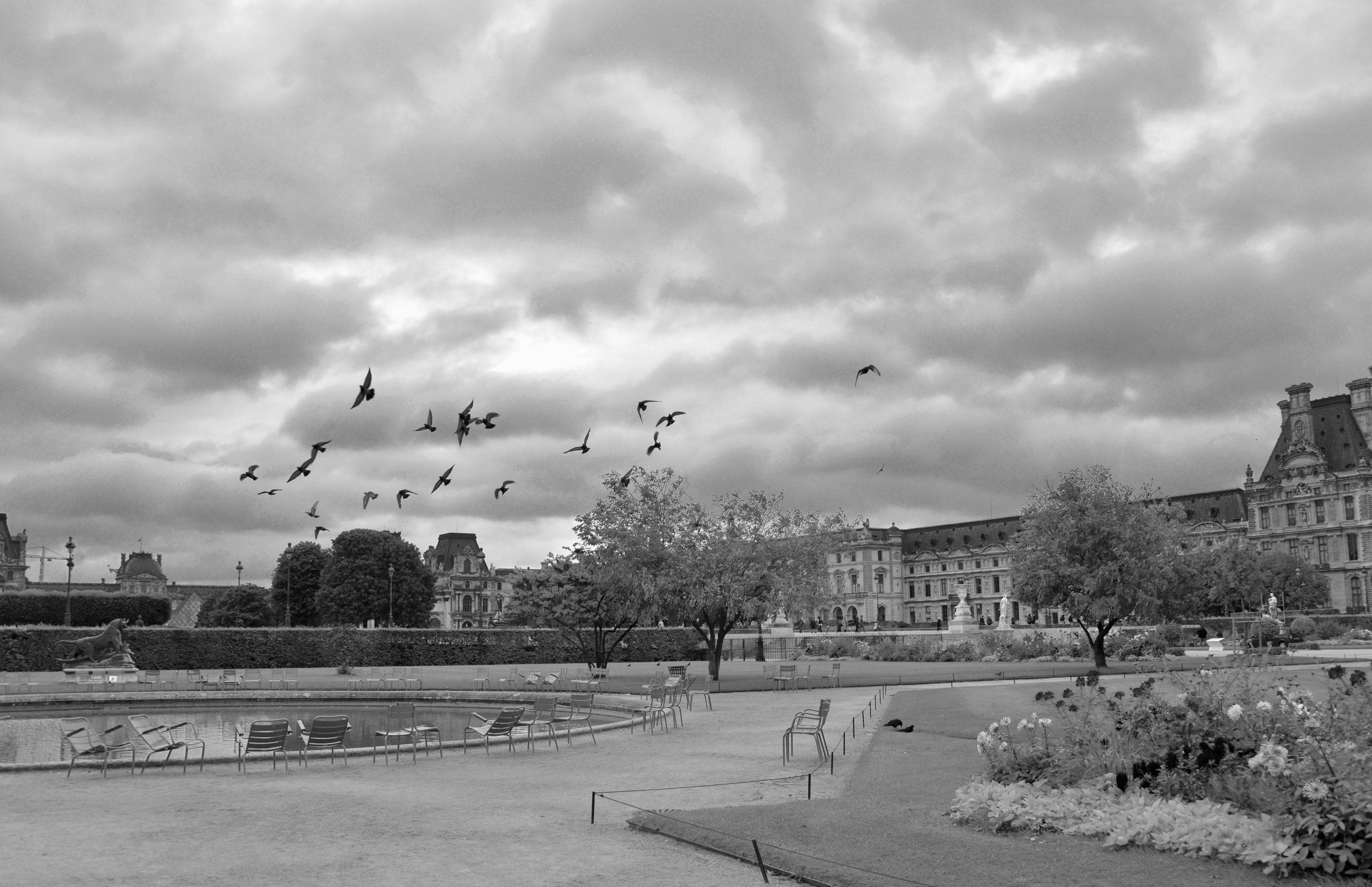 DSC_5465.jpeg