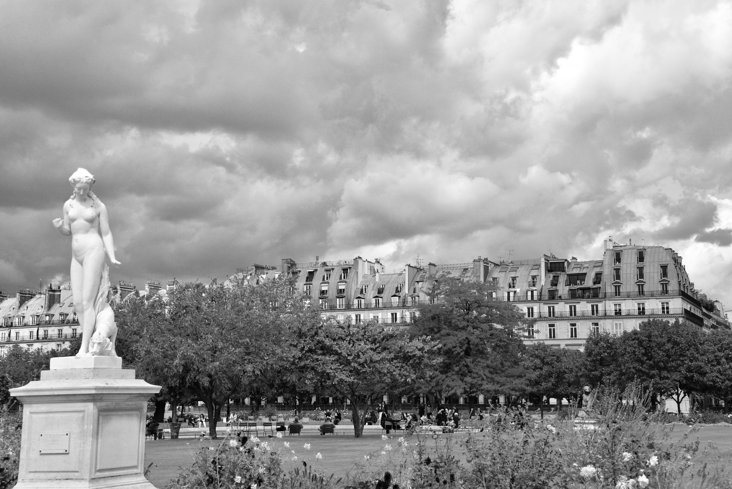DSC_5947.jpeg