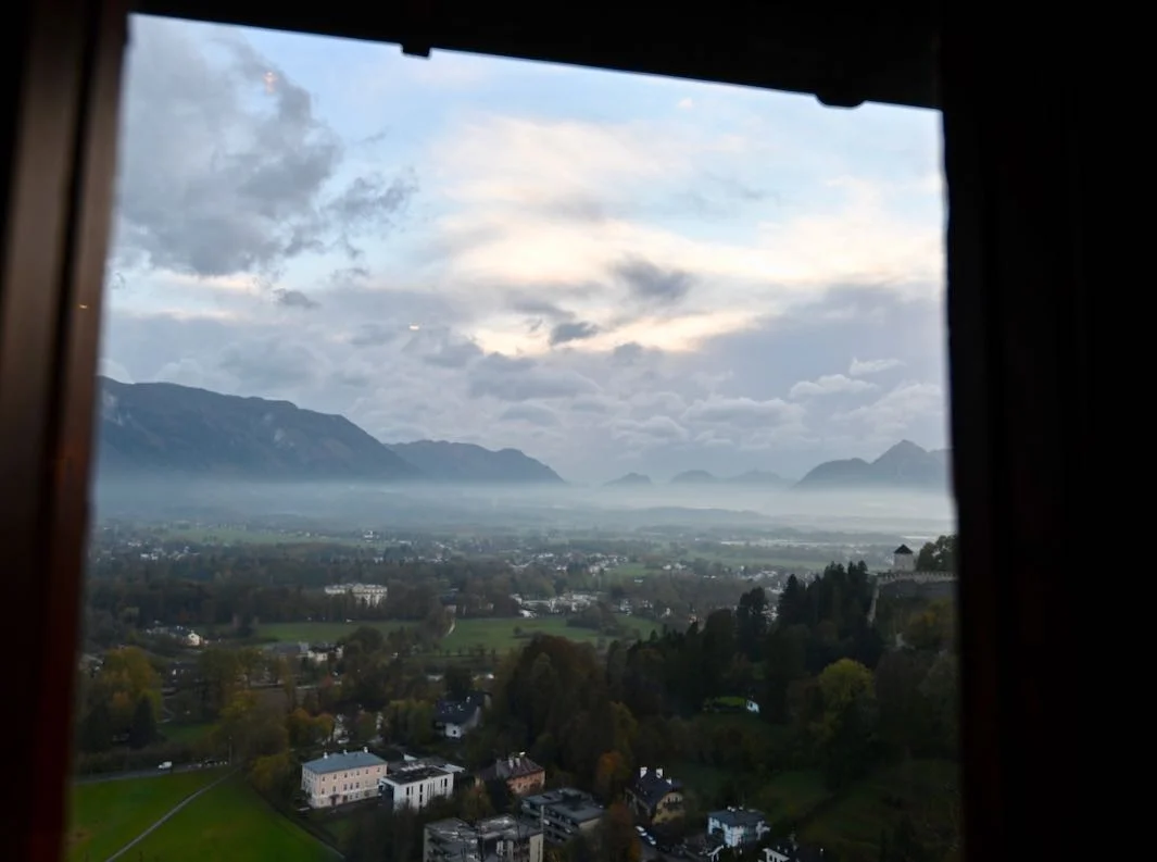 DSC_2020.jpg