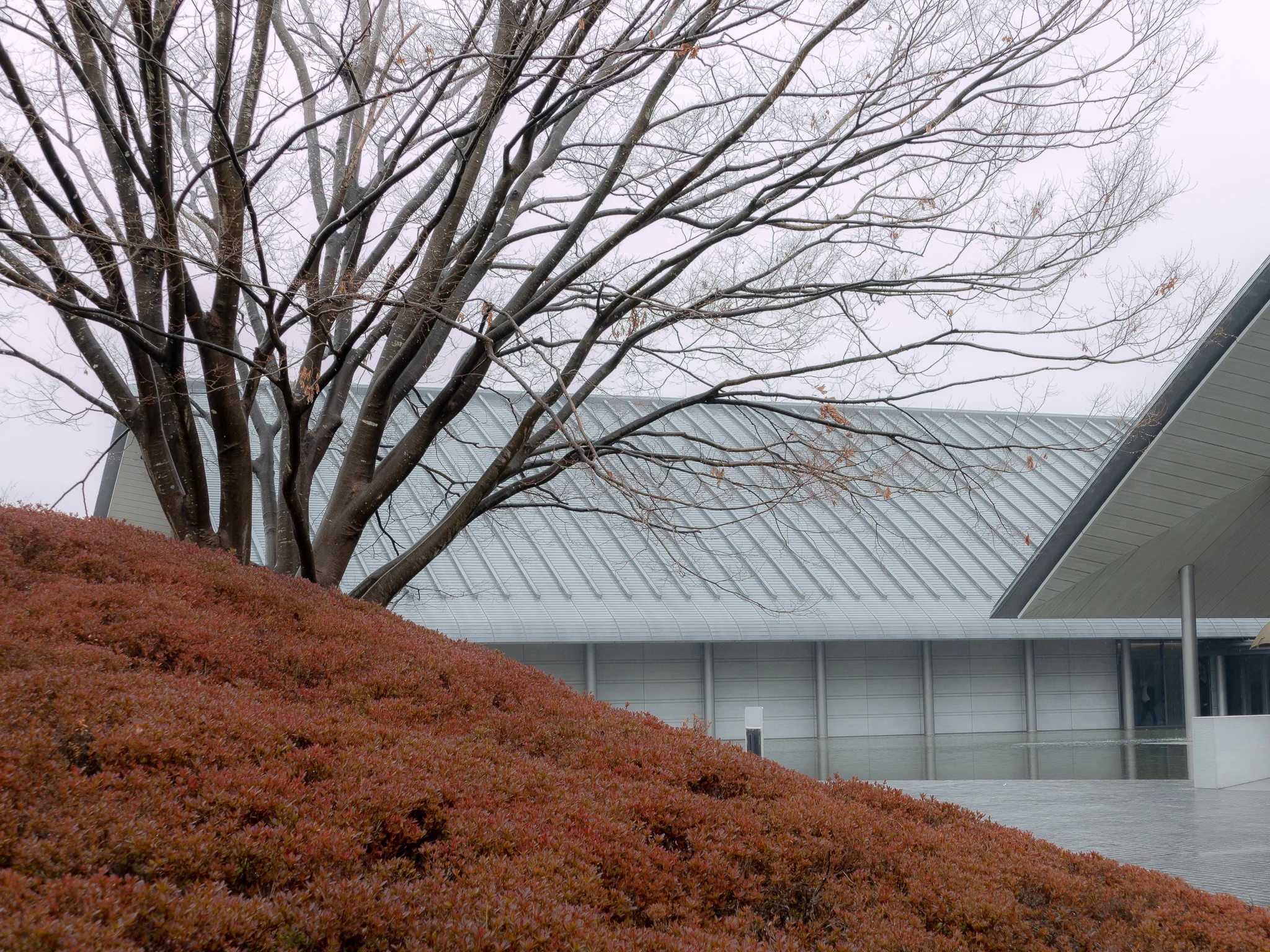Sagawa Art Museum Funfriendsfoodtravel Com