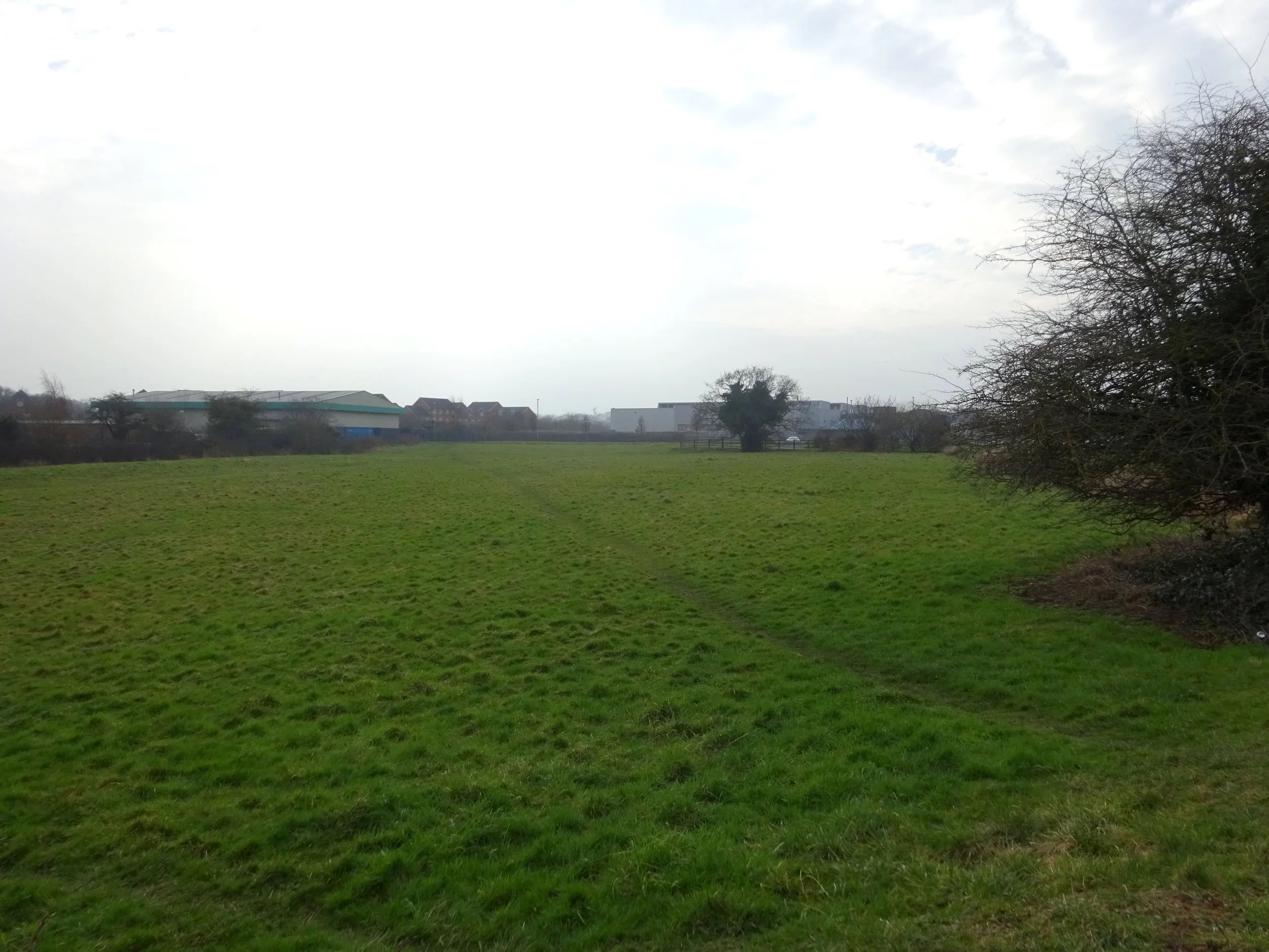 B T O'Sullivan Awarded New Contract for Bulk Earthworks and Groundworks at Ellesmere Port