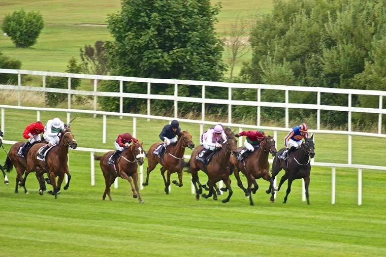 Master Speaker Shows His Turn of Pace to Finish 7th at Leopardstown