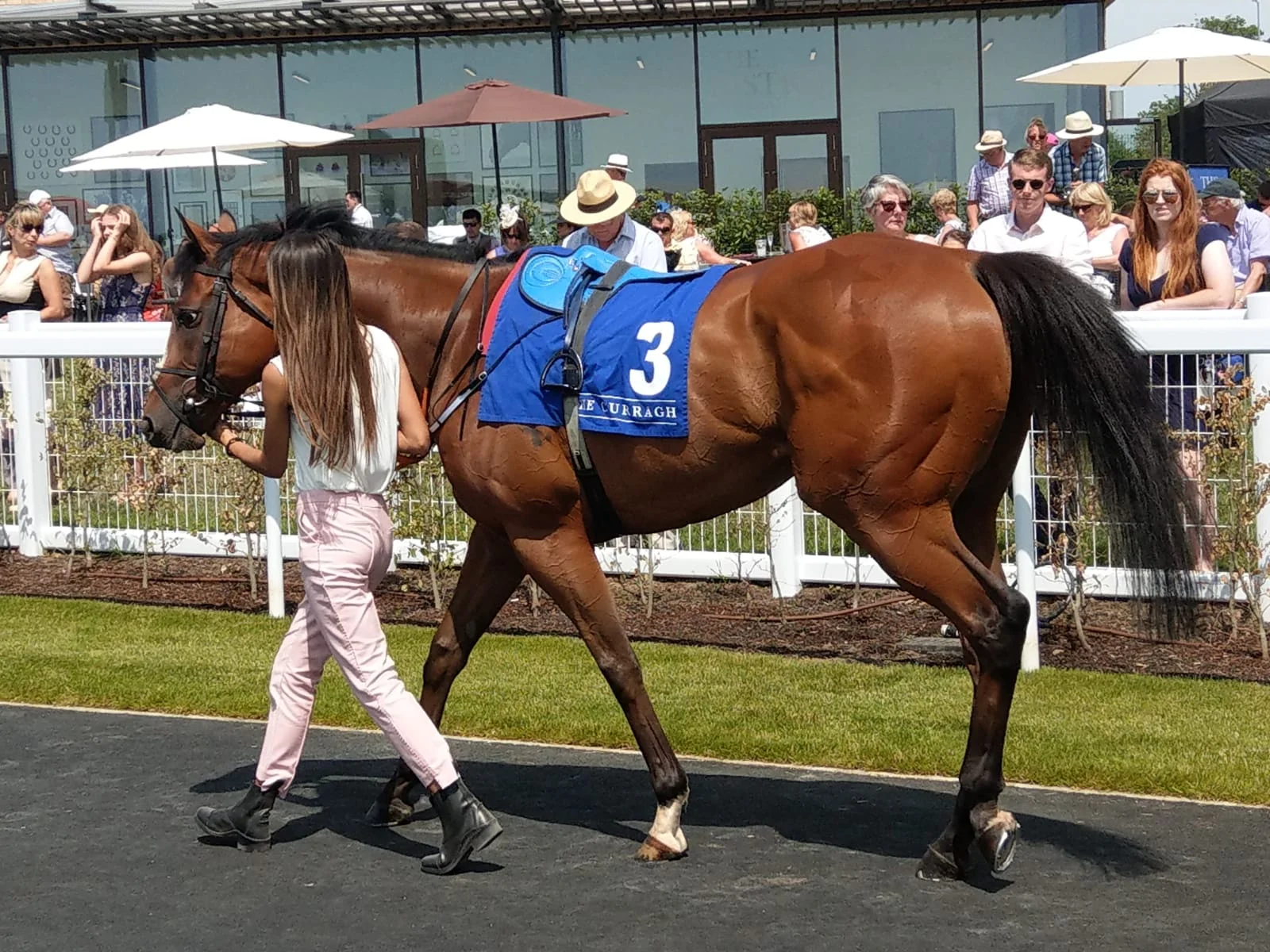Mixed Results on Derby Day at The Curragh
