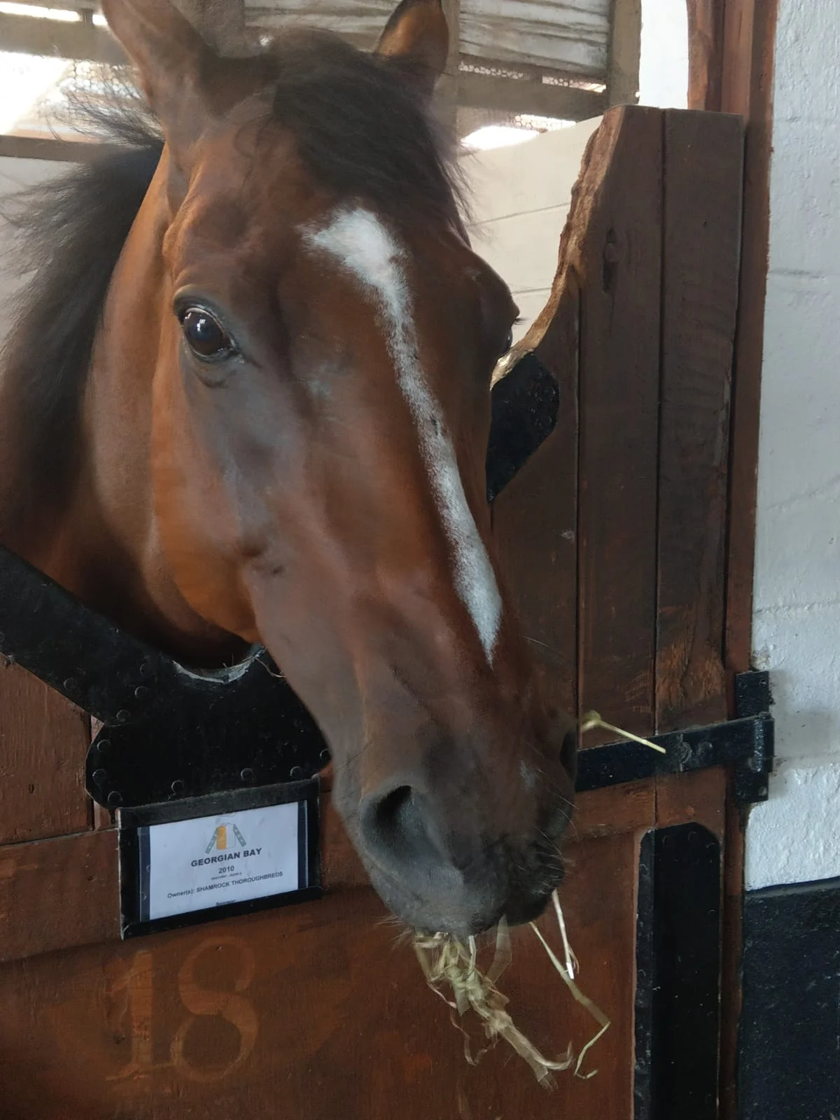 Georgian Bay Returns at Killarney