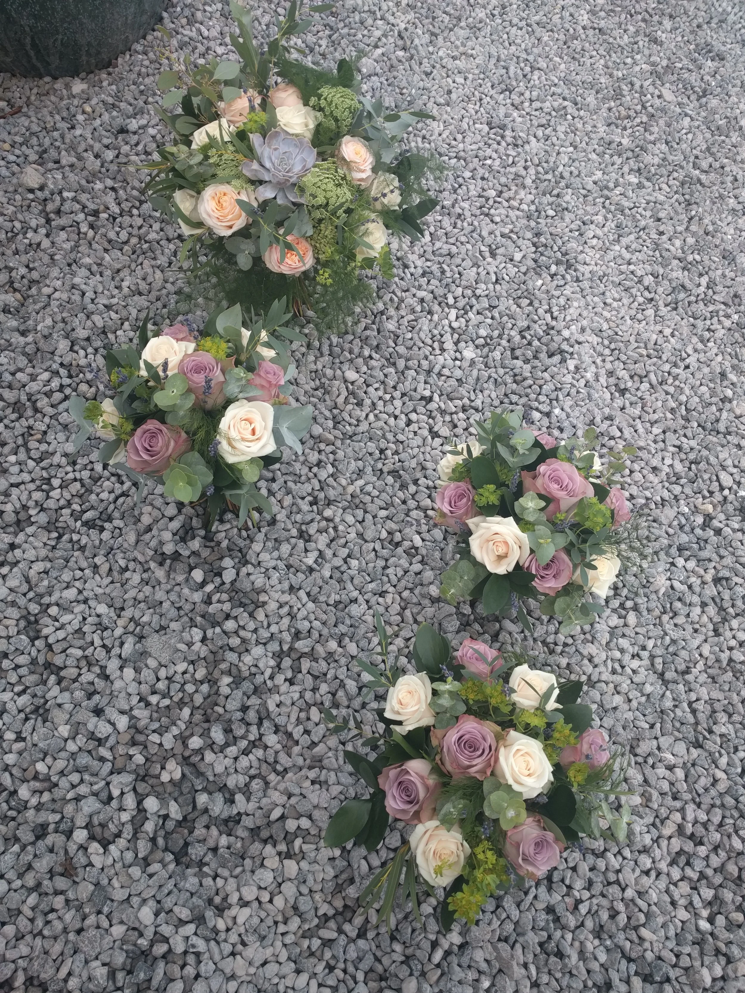 All pretty maids all in a row.
