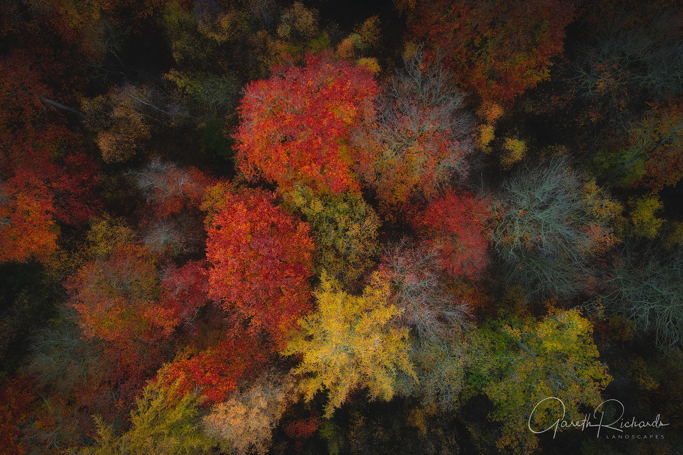 20171114-DJI_0037-Edit.jpg