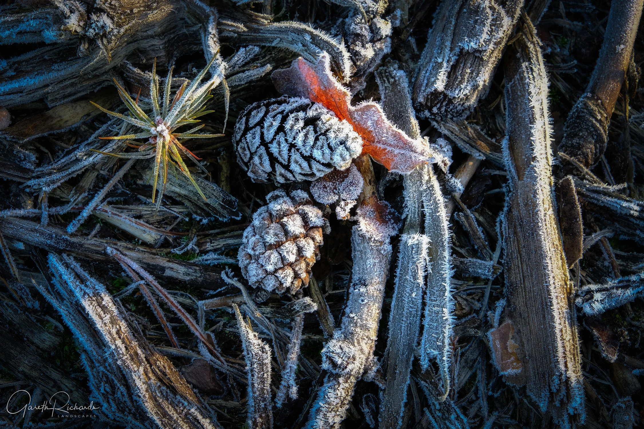 20171228-DSCF0887-Edit.jpg