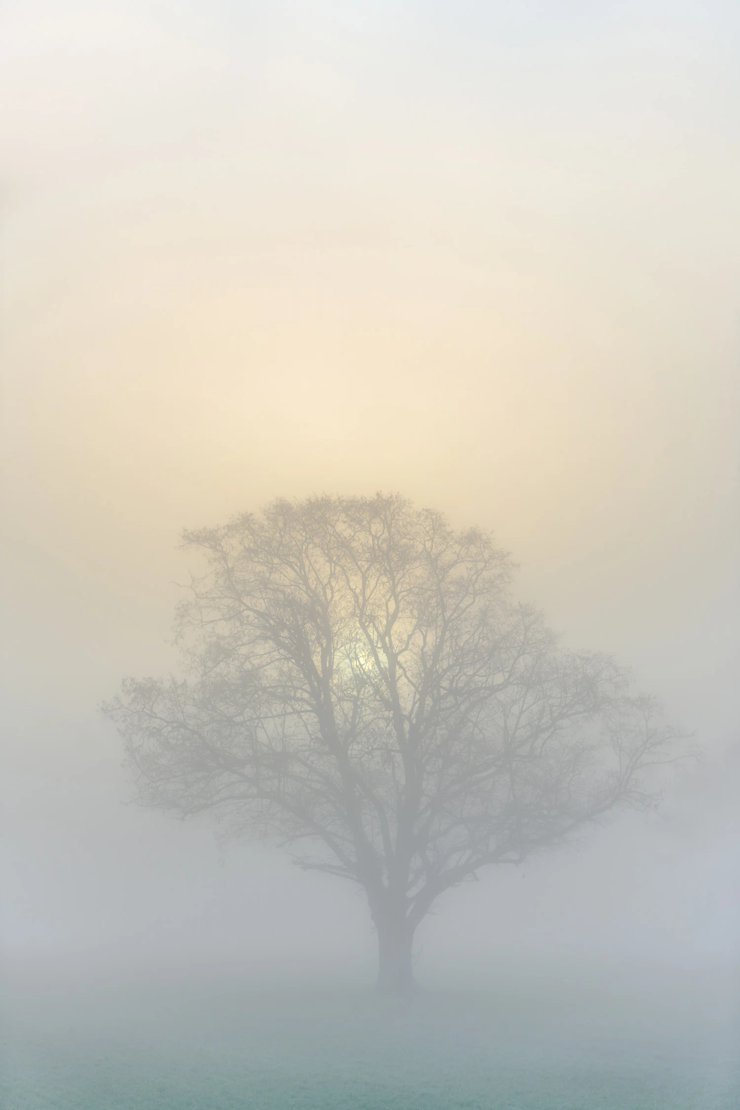 20170124-_DSC0260-Edit-Edit.jpg