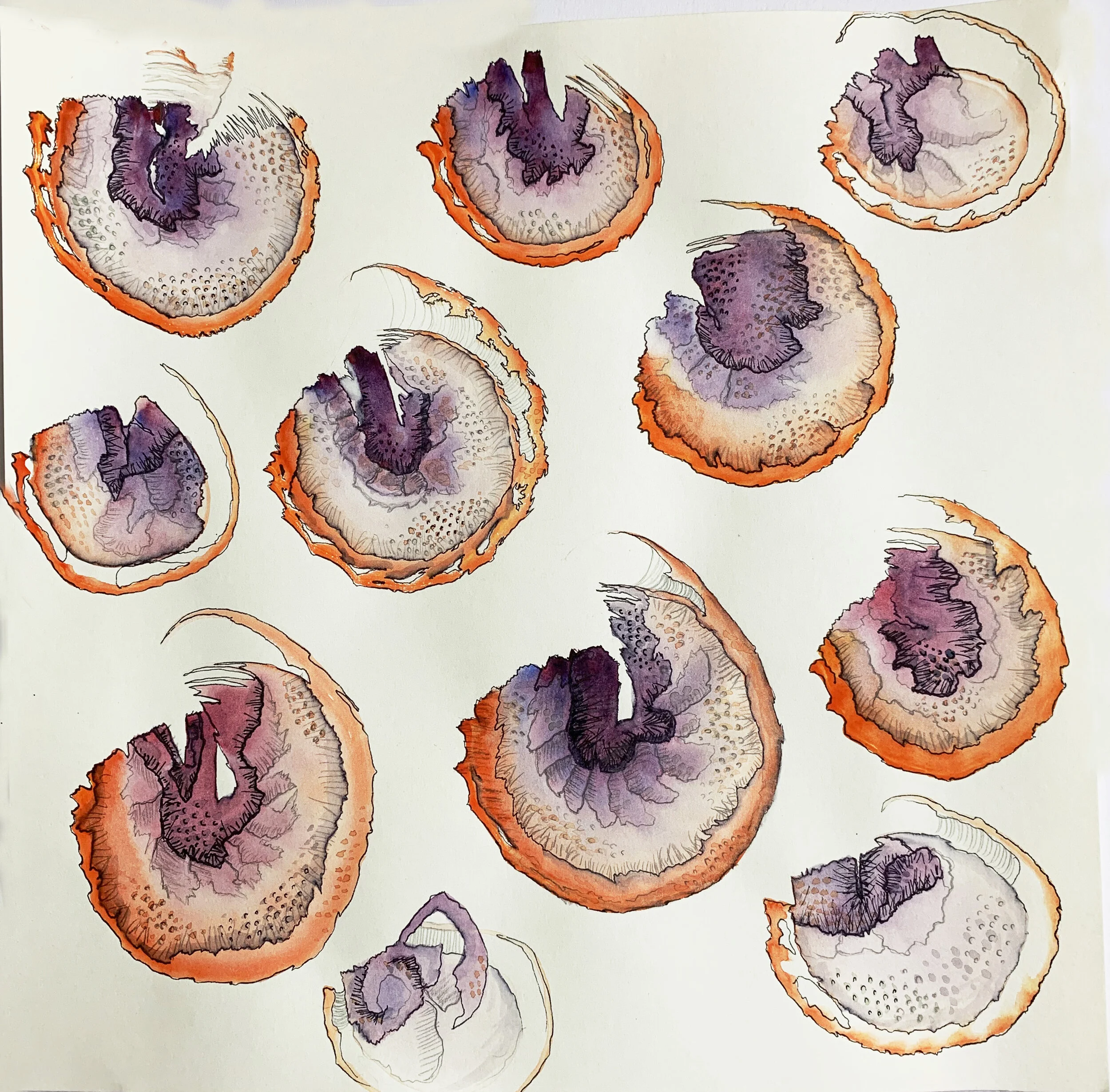 Biosomethings - Orange