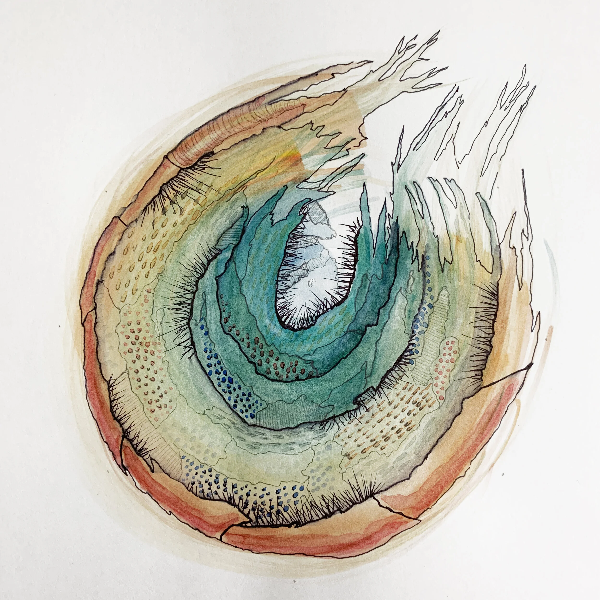 Biosomethings - No. 2