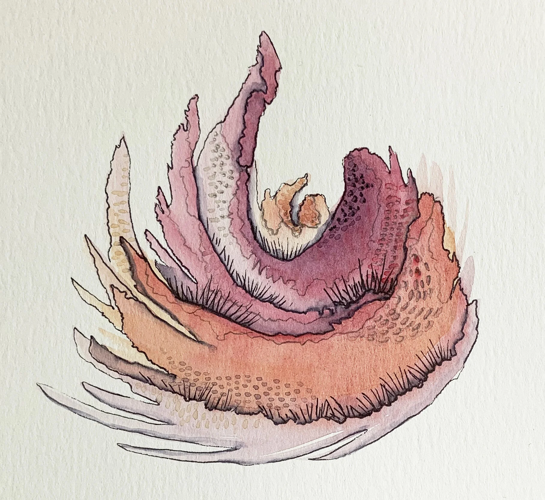 Biosomethings - No. 4