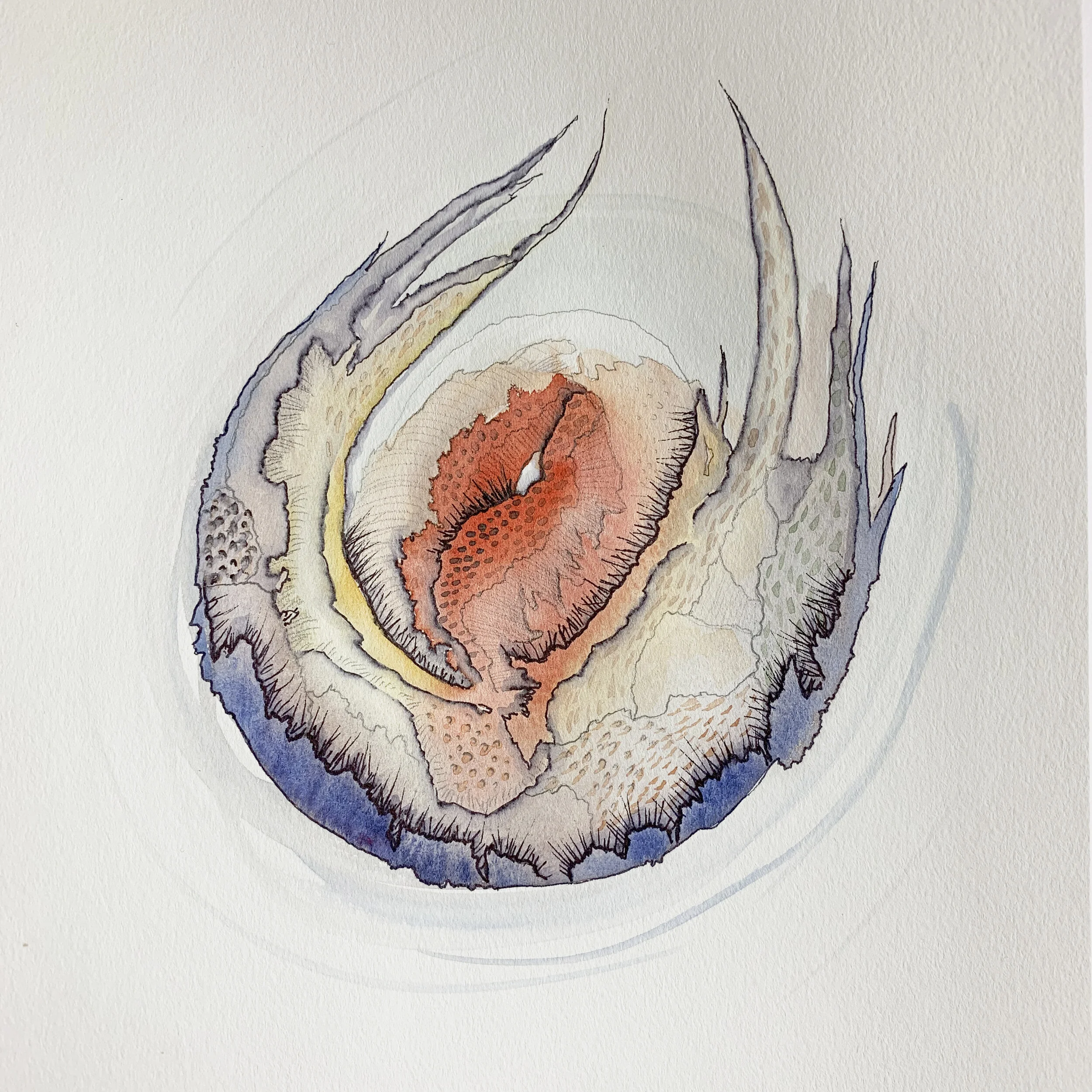 Biosomethings - No. 1