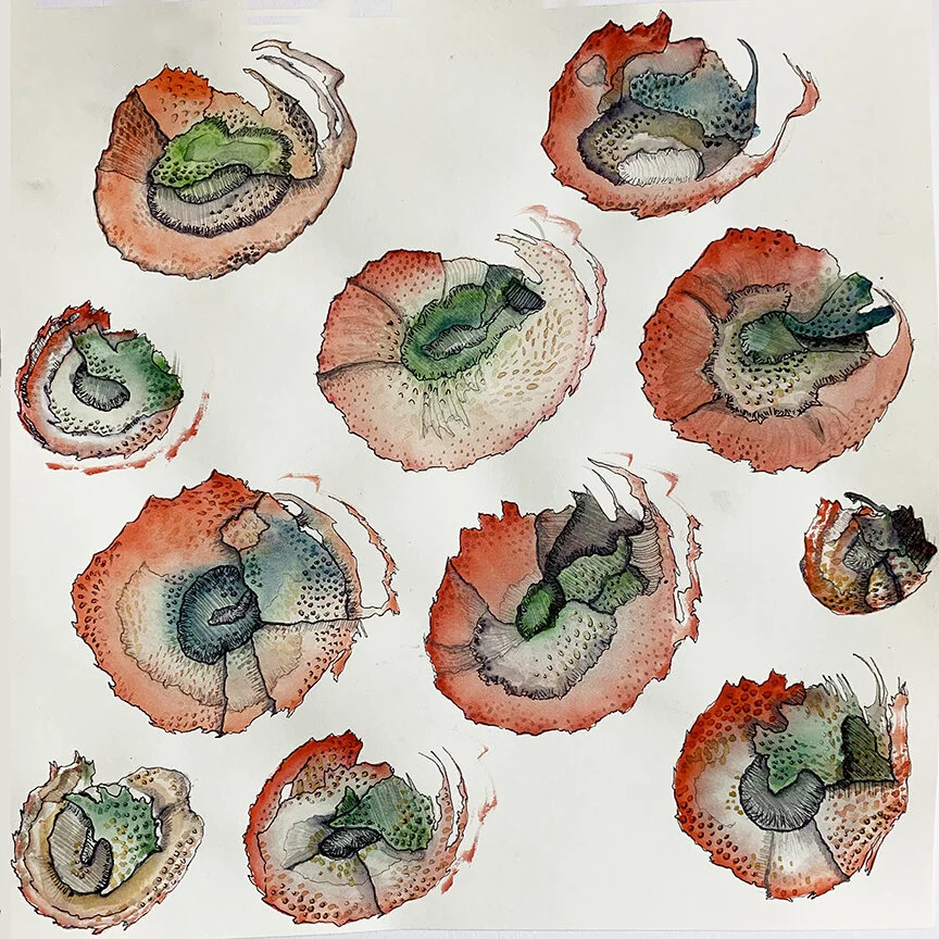 EZRA_KLEE-Biosomethings_1.jpg