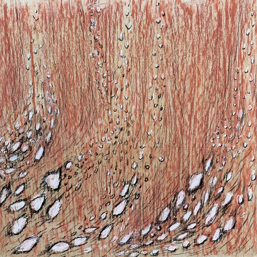 EZRA_KLEE-Patterns of Nature_02.jpg