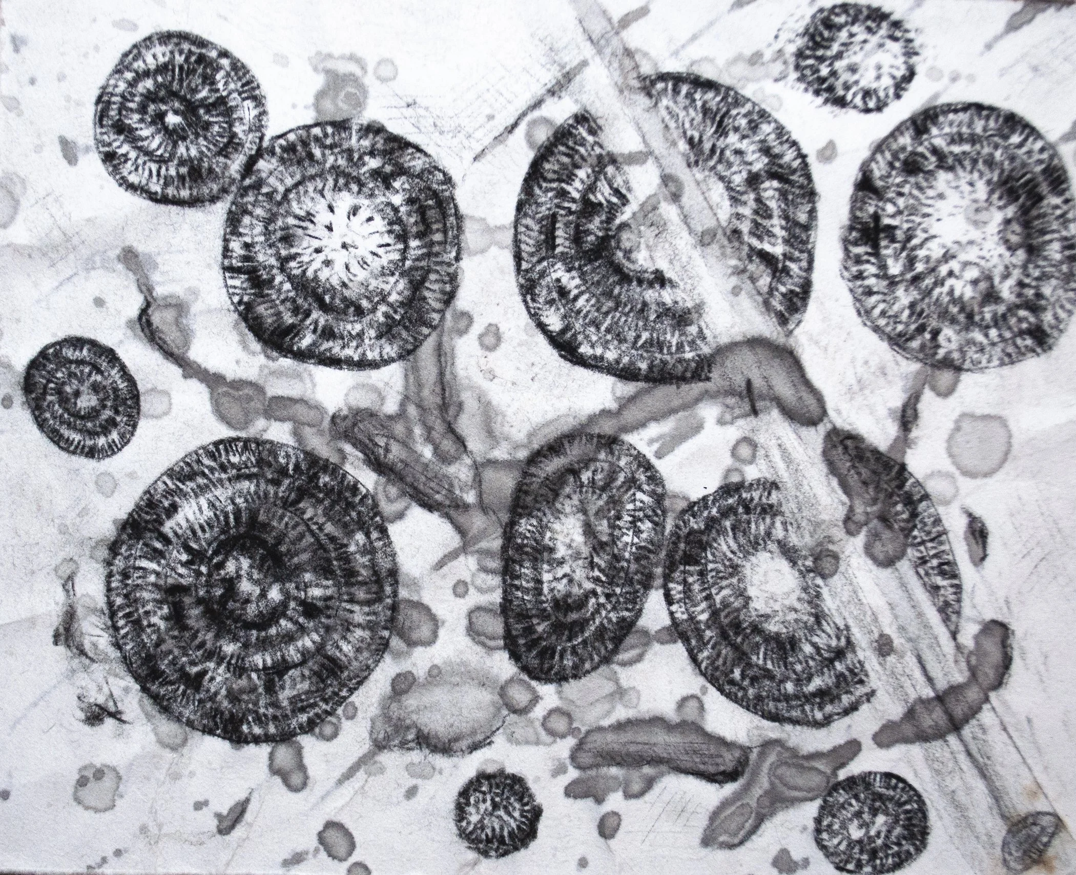 EZRA_KLEE-Patterns of Nature_2.jpg