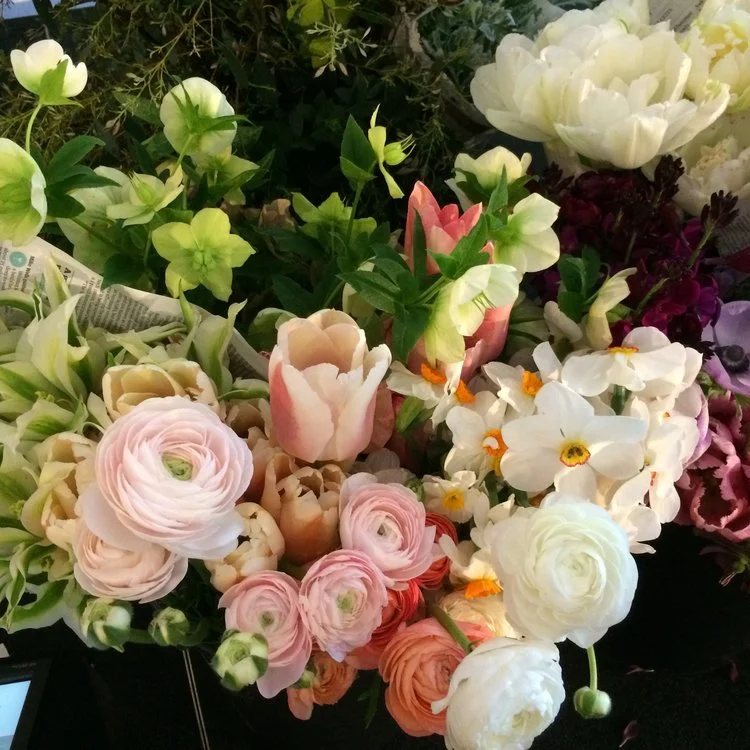 Designer's Full Bucket