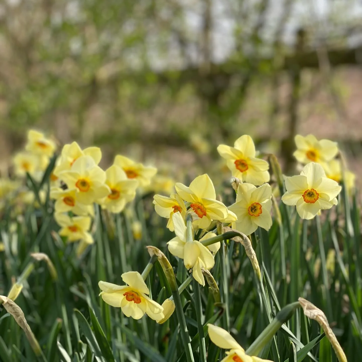 These are all from 2019, our biggest and busiest year. We were delivering wholesale flowers around the Northwest and I was doing fully set-up weddings. Though I was still learning to loosen up my bouquets and not to spiral them. Unlearning what I&rsq