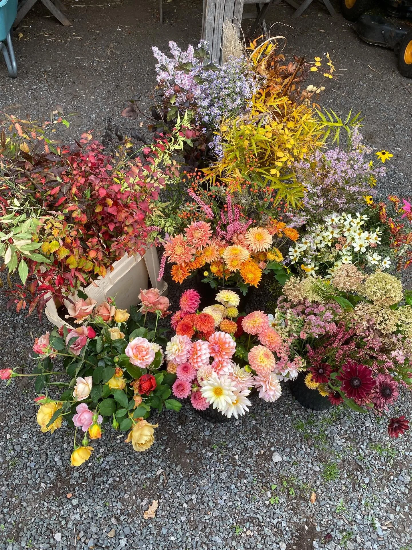 Wholesale flowers have been the biggest part of our business for about 7-8 years now. Whether you measure by number of stems, buckets or by value, more of our flowers go to florists than direct to customers. And that&rsquo;s what we mean by wholesale