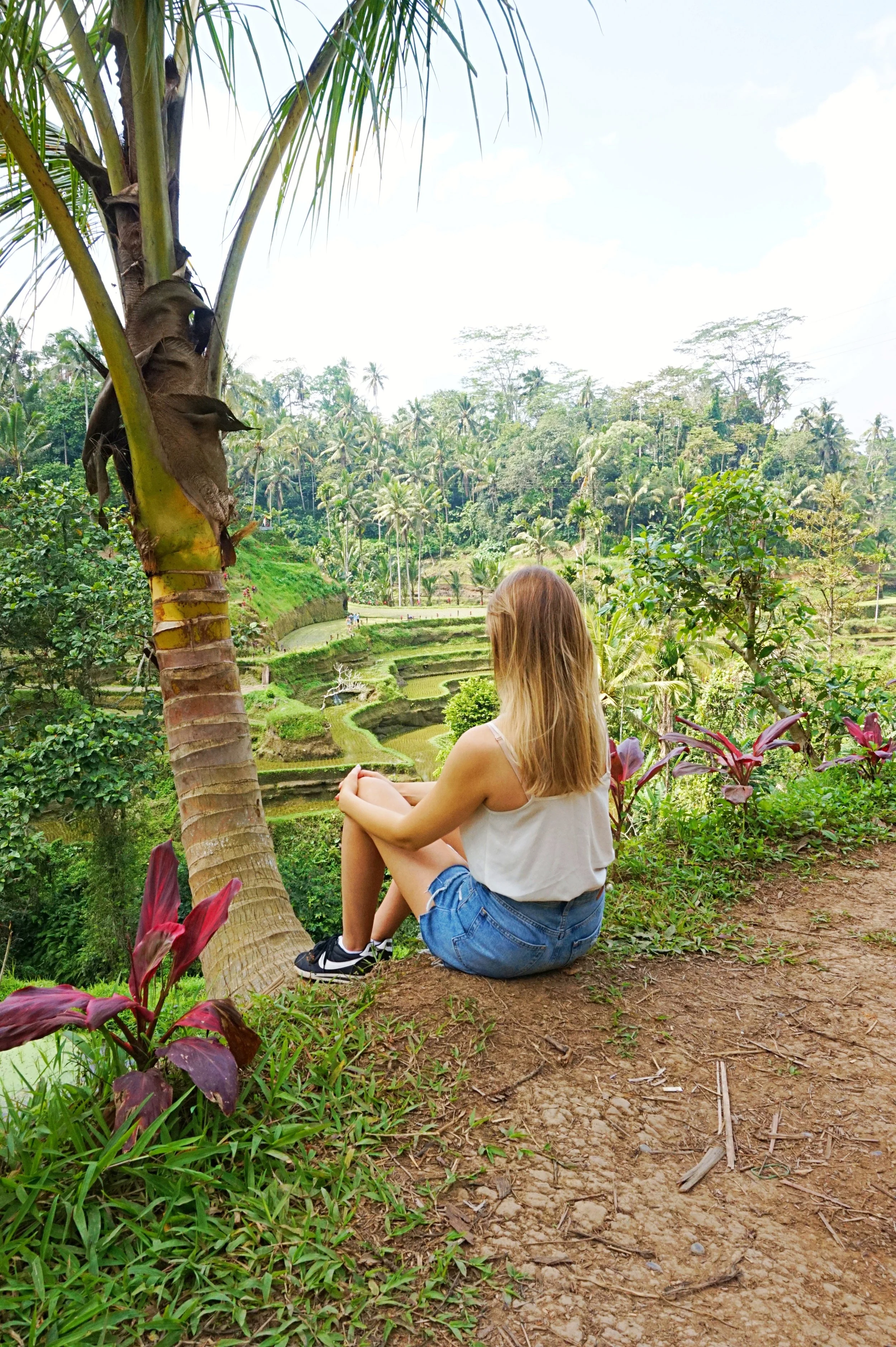 A Guide to Ubud