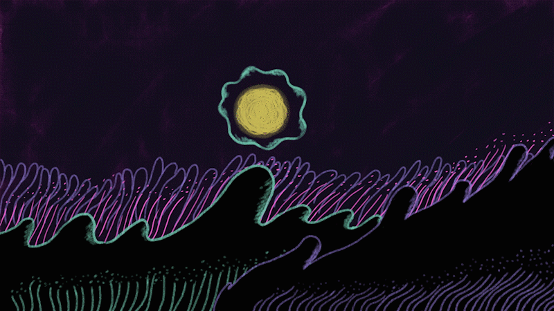 fish pods_1.gif