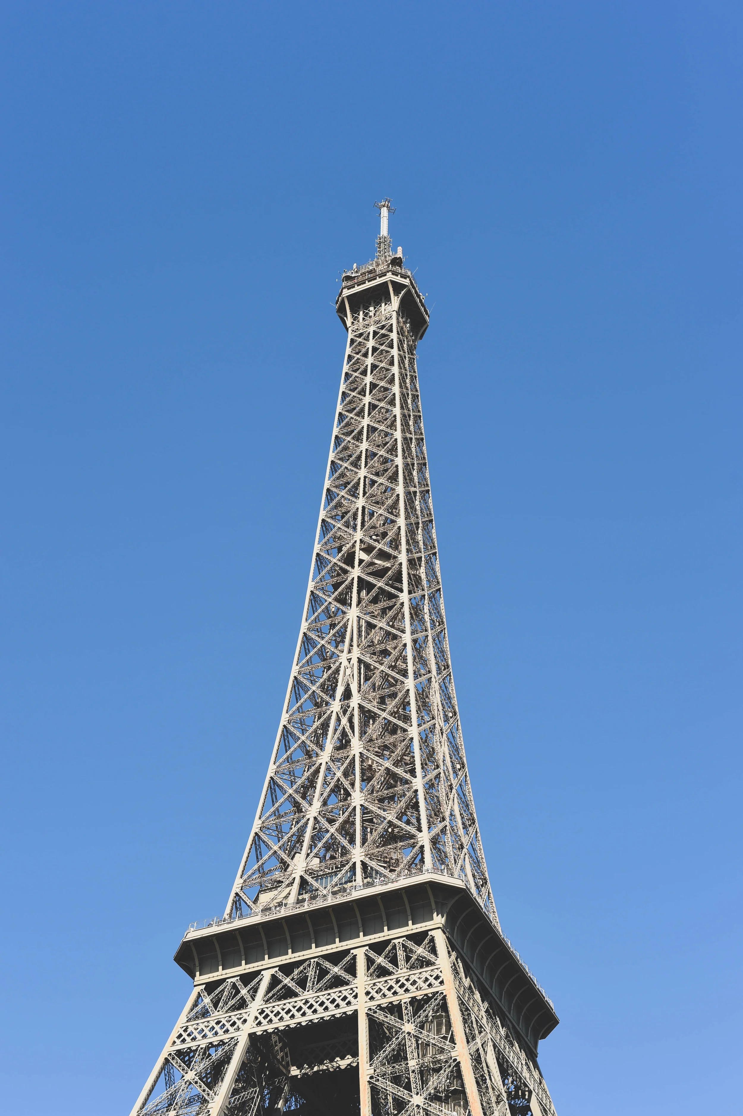 DSC_7887.jpg