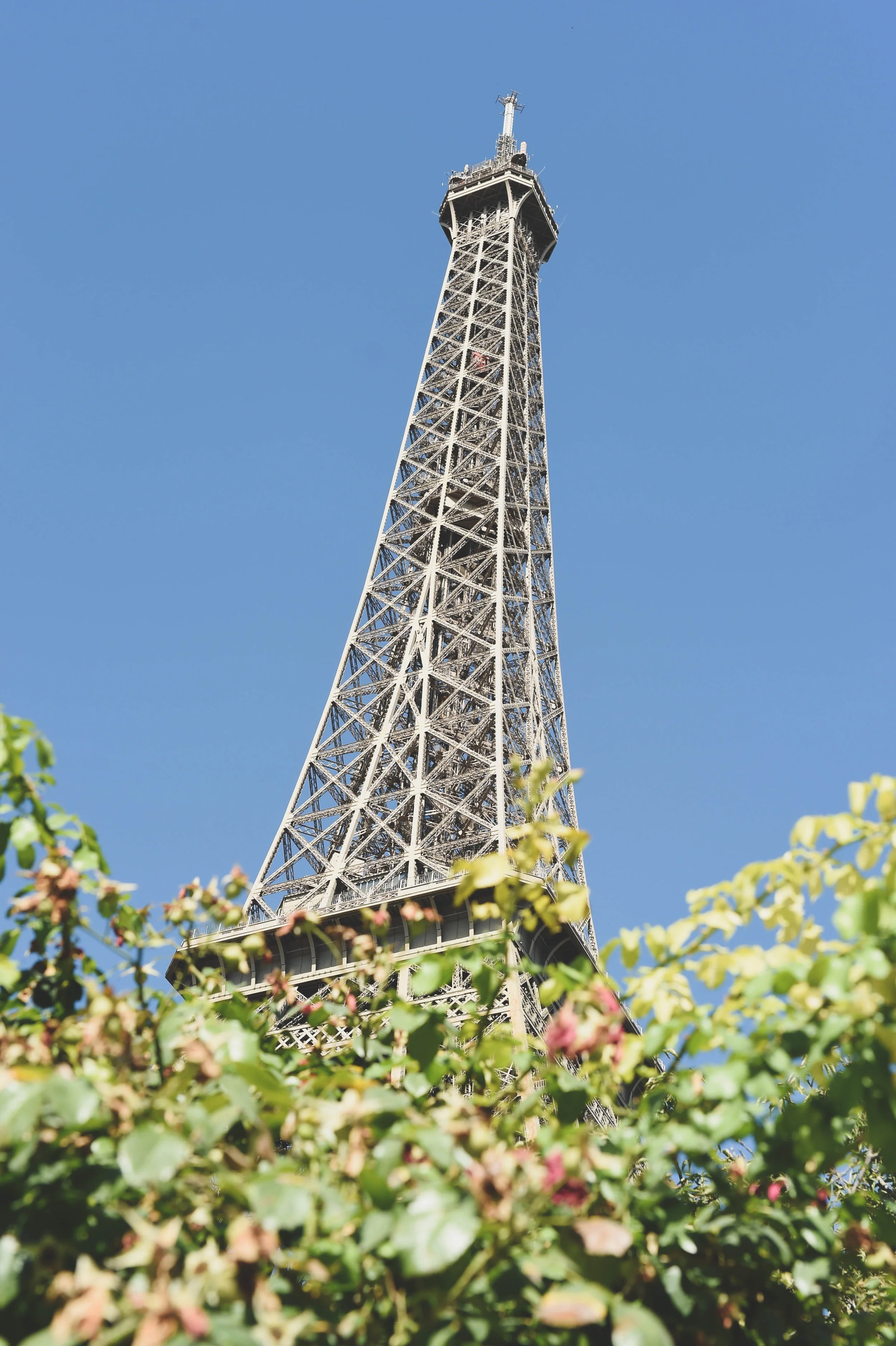 DSC_7892.jpg