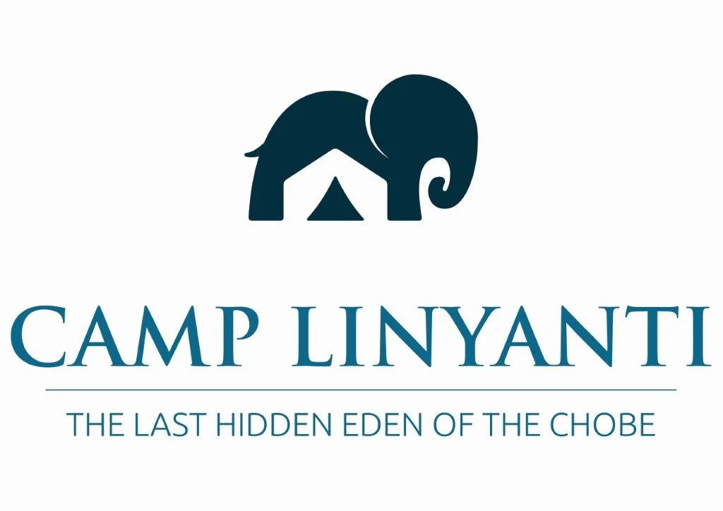 CampLinyanti_Logo_Print.jpg