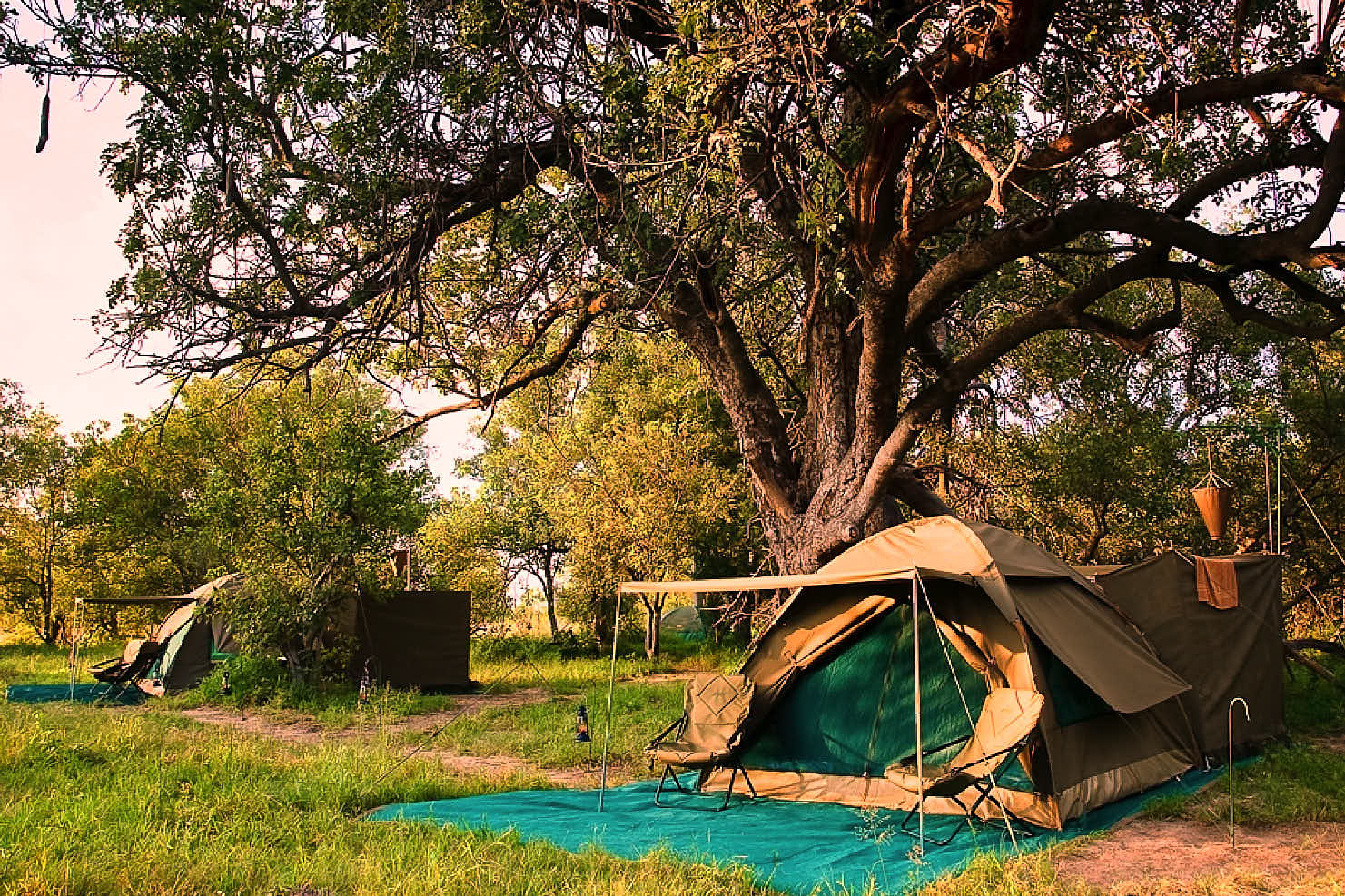 Camping site. Кемпинг у реки. Королевский кемпинг в Африке. Дом отдыха в Ботсване.