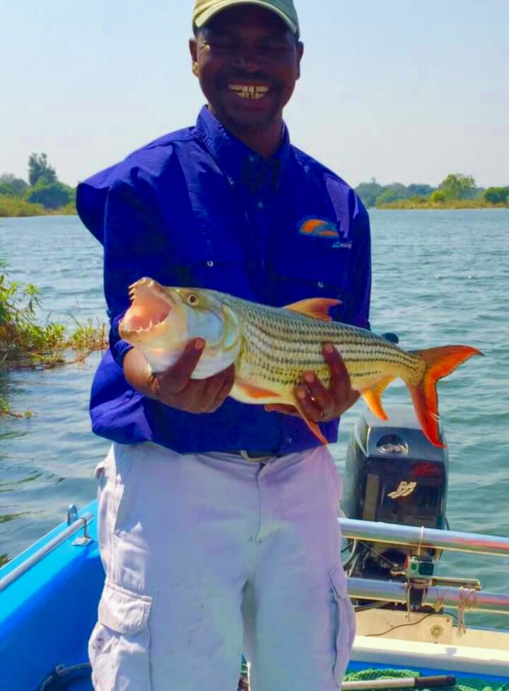 The Fishing Ledgend of the Upper Zambezi River, Masauso from; Ultimate Fishing Safaris