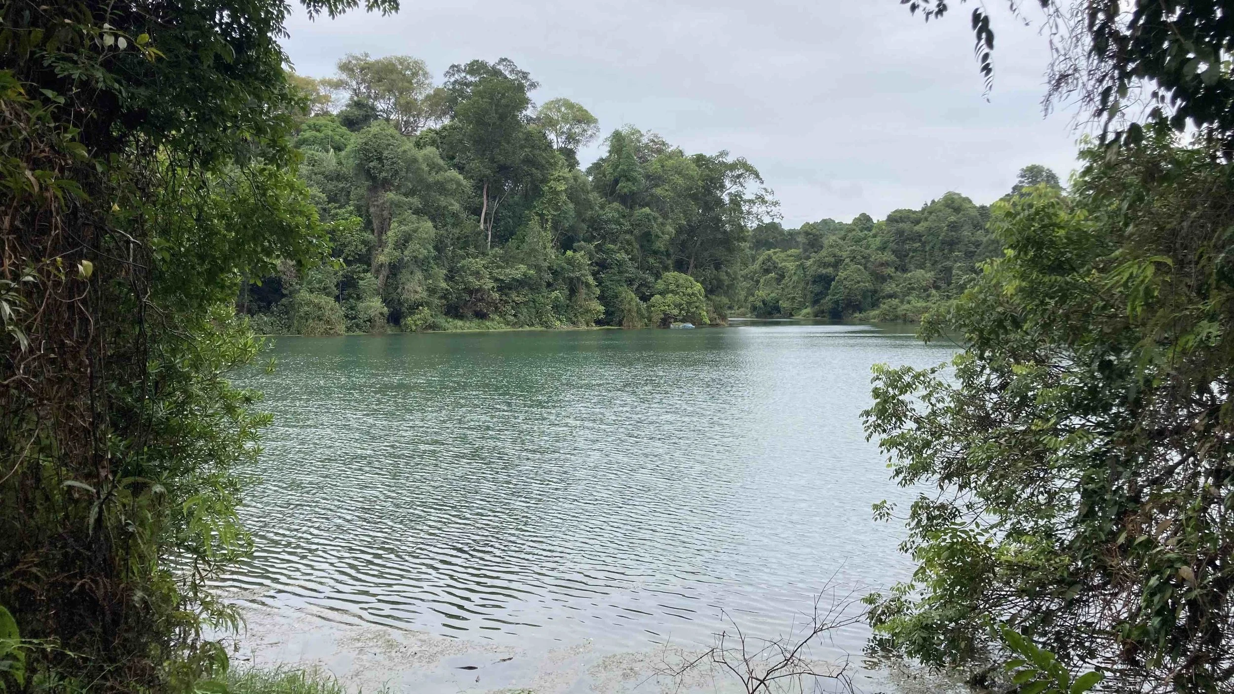 Rewind: December 2023