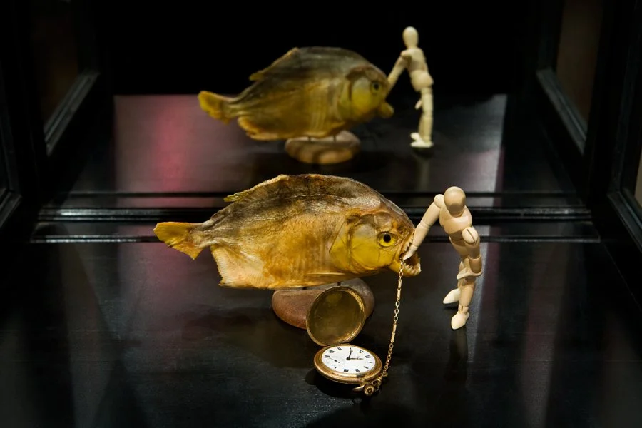 Eponymy5B.jpg