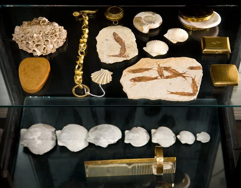Eponymy1B.jpg