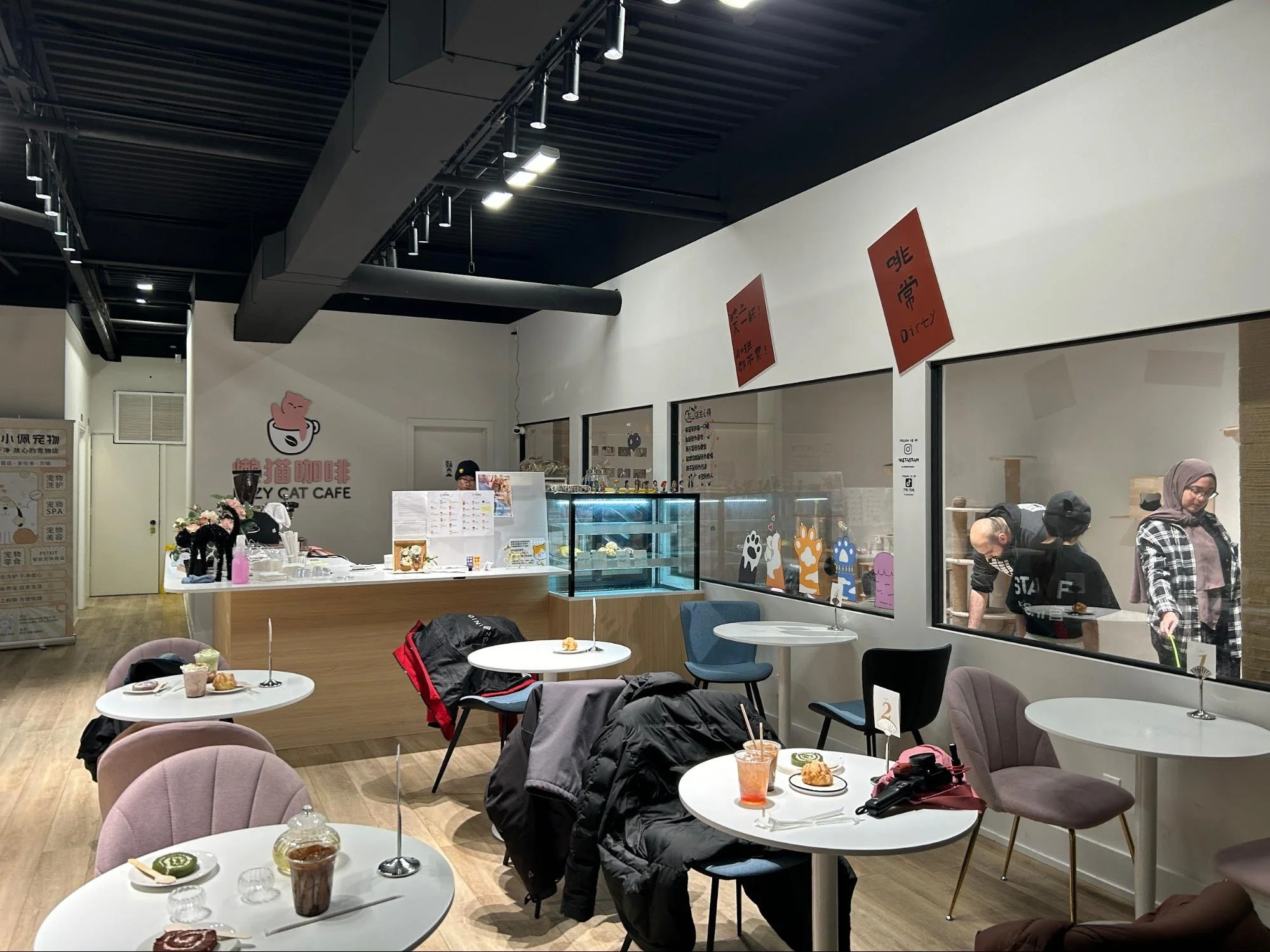 Lazy Cat Cafe The new goto destination for every cat lover — CanCulture